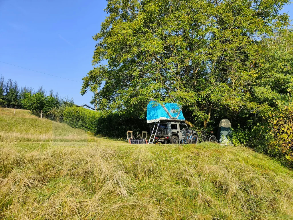 Tree Camp Rütihof