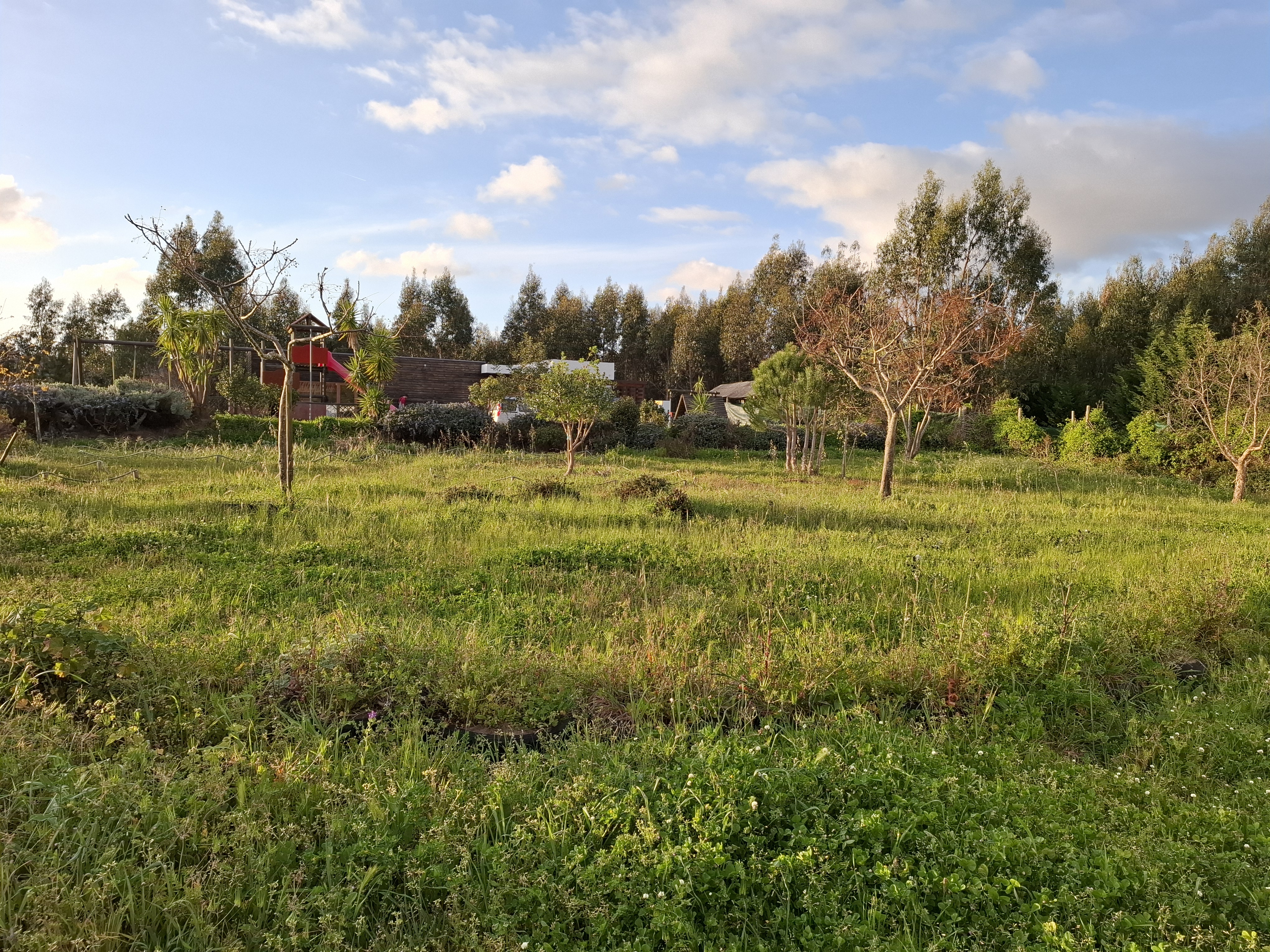Caria's Organic Farm – Near Top Surf Beaches