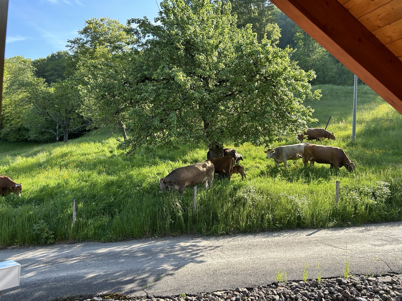 Ehemaliger Bauernhof mit grossartiger Aussicht photo 4