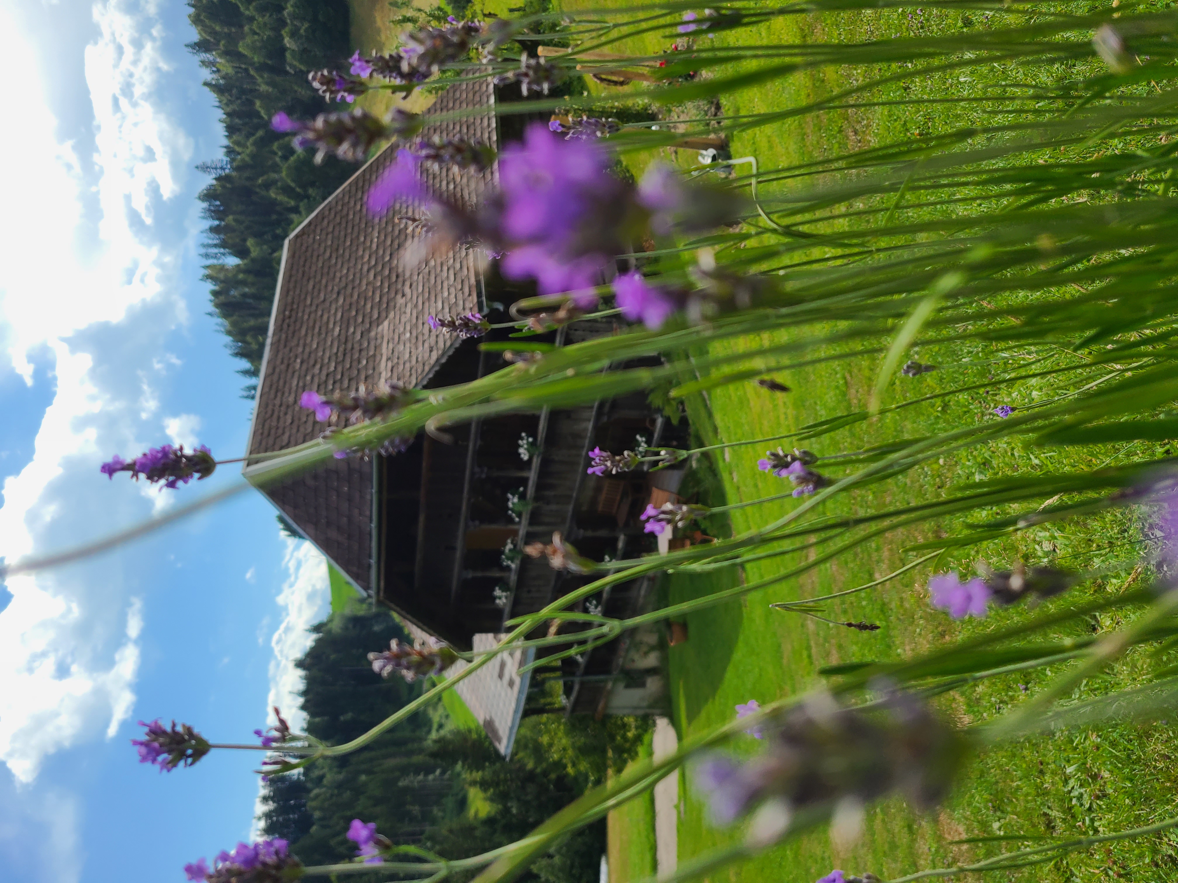 Hinter dem Spycher photo 5