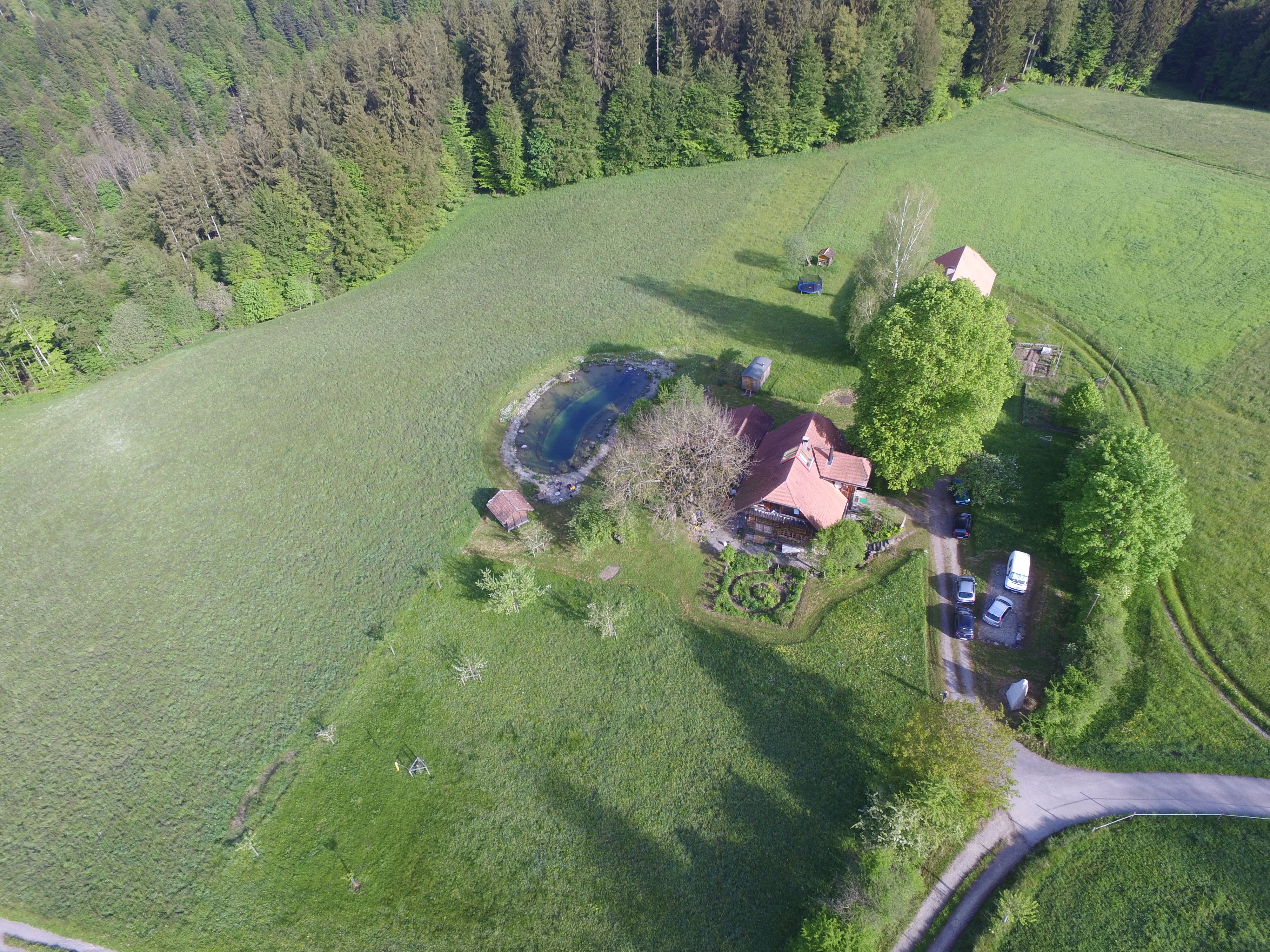 Natur pur photo 5