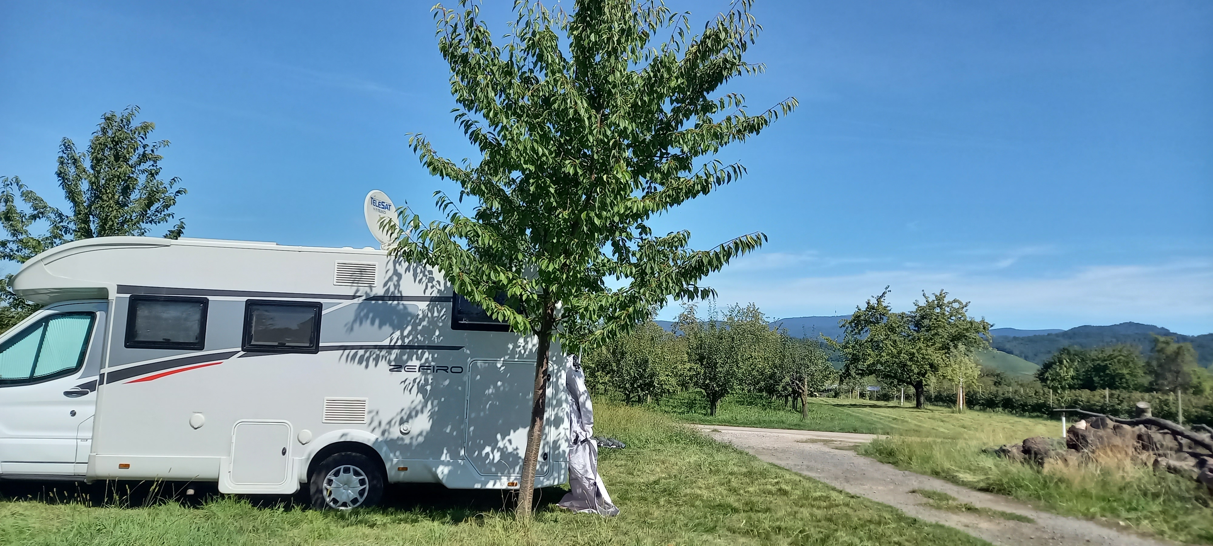 Stellplatz auf Streuobstwiese am Dorfrand photo 5
