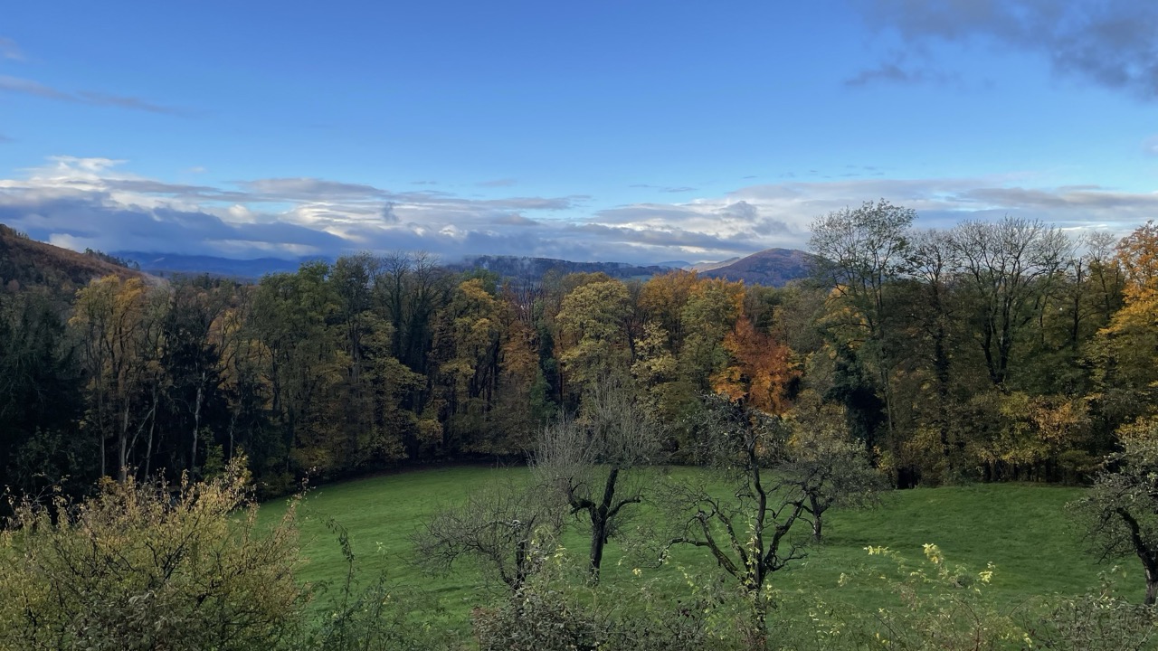 Ehemaliger Bauernhof mit grossartiger Aussicht photo 5