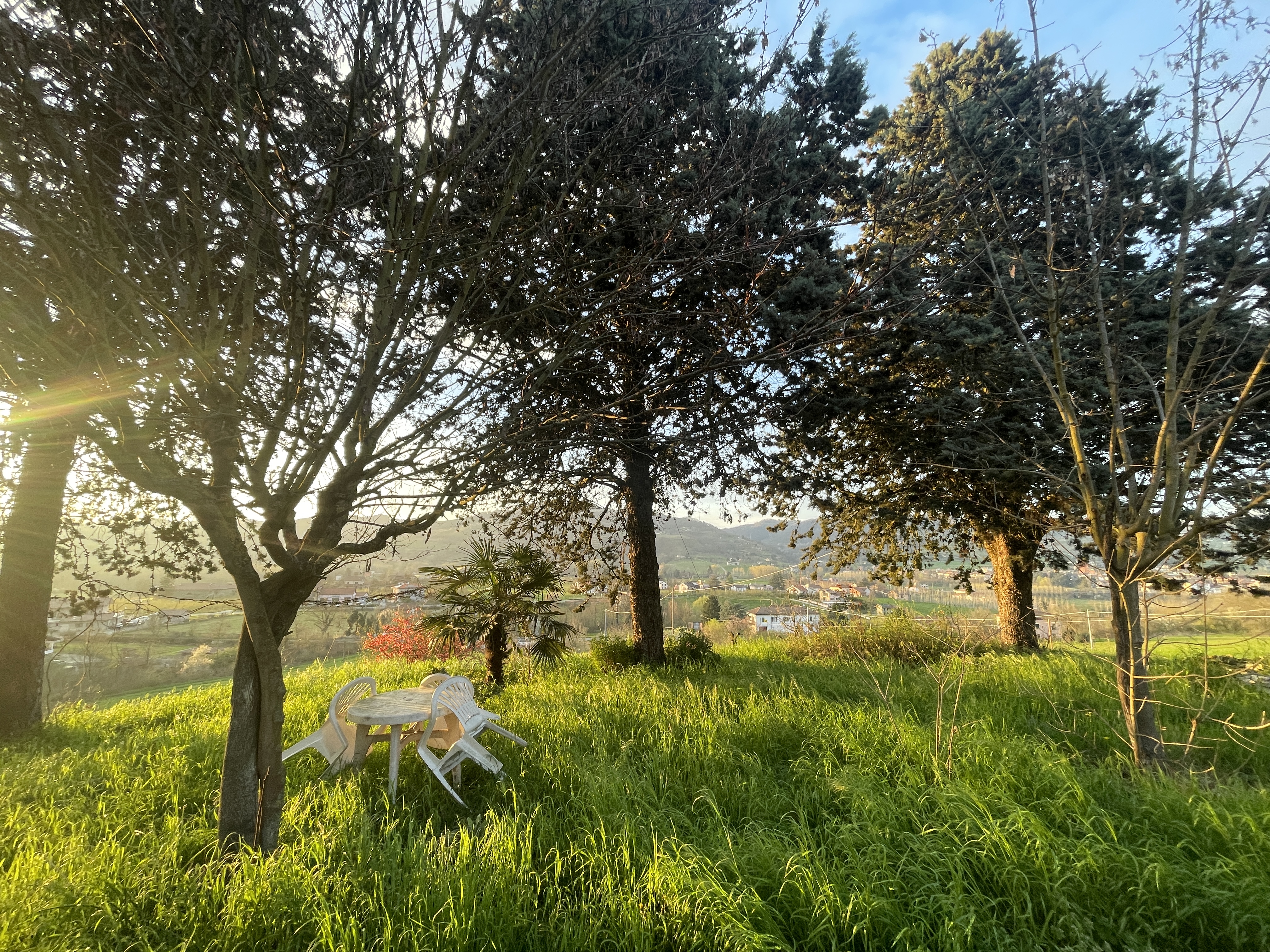 Vista Bormida photo 5