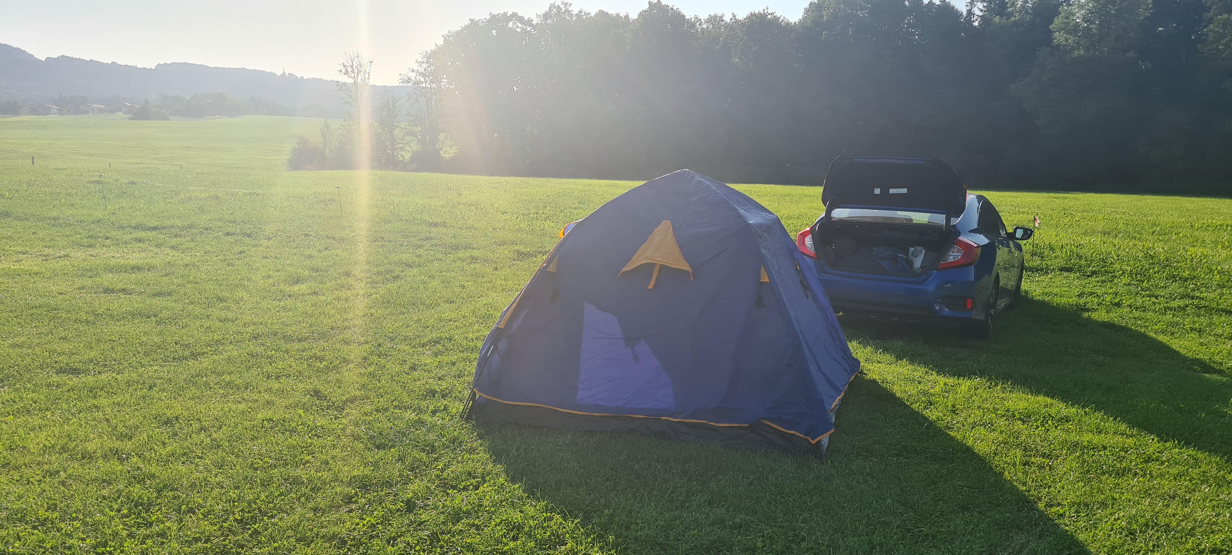 Bergblick Stellplatz mit Alpakas photo 4
