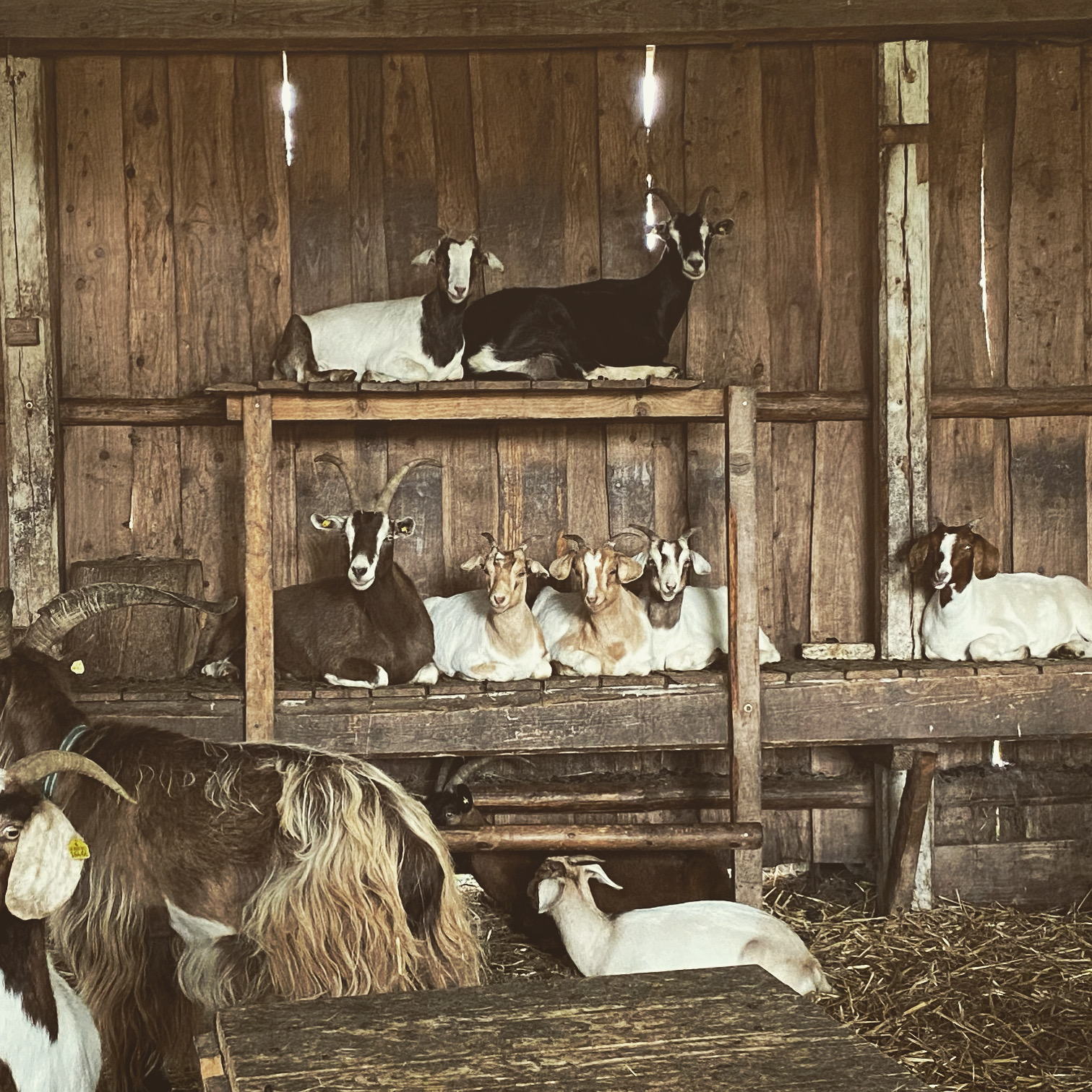 Abgelegener Stellplatz auf einem Resthof photo 4