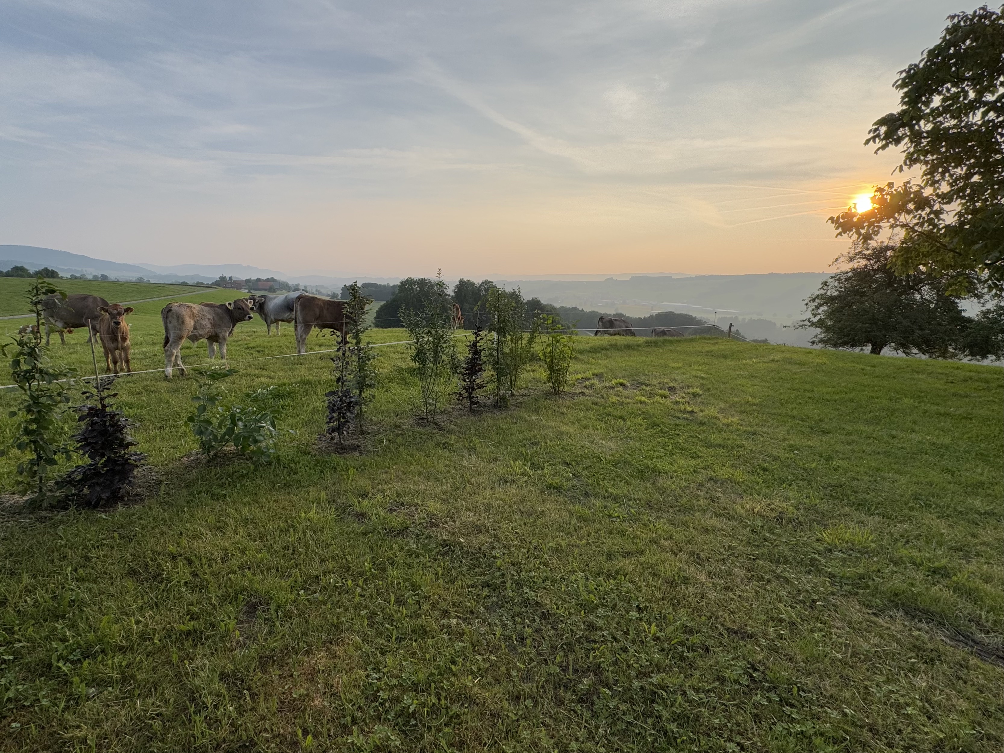 Camp Blosenberg photo 4
