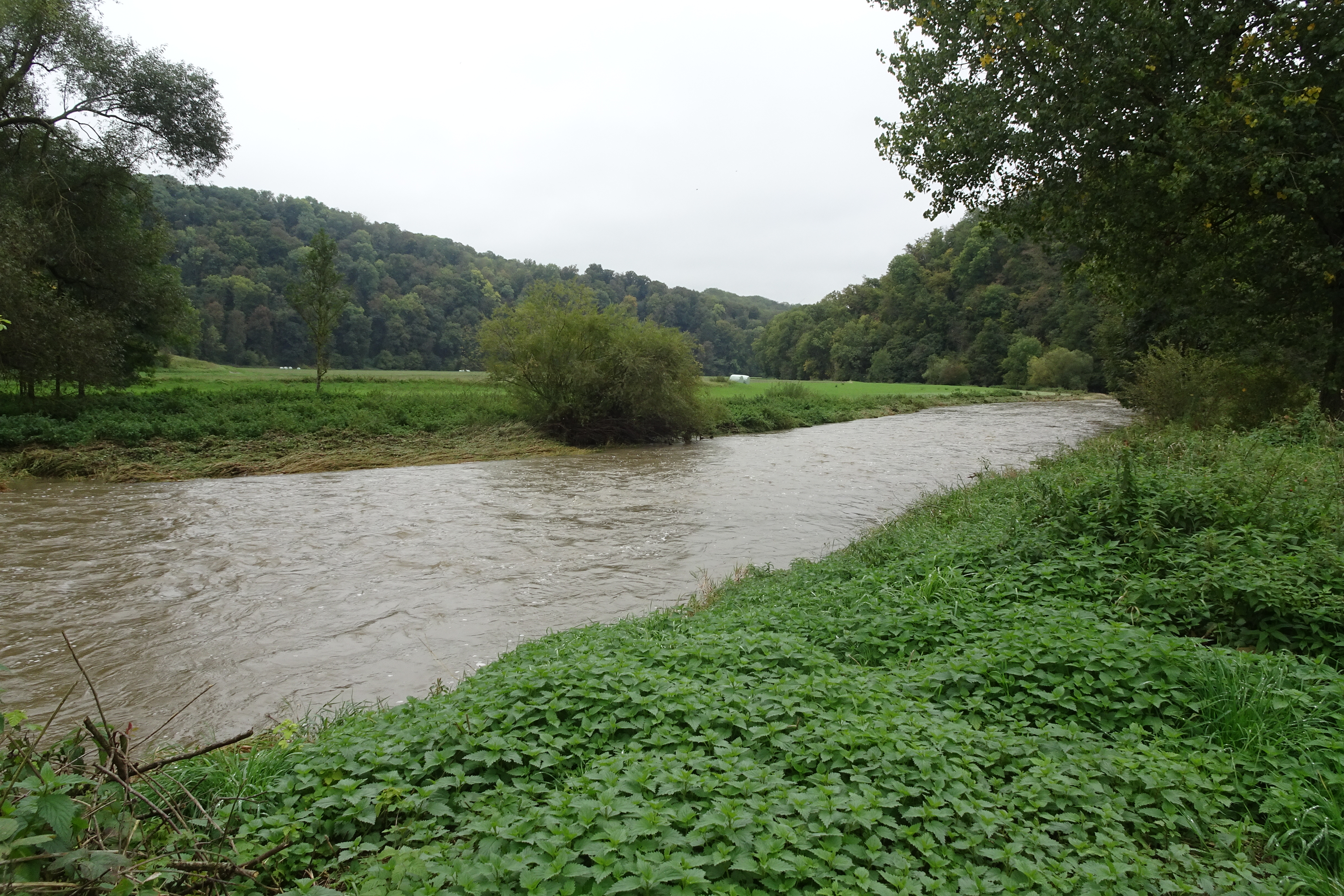 ruhiger Stellplatz im Jagsttal photo 4