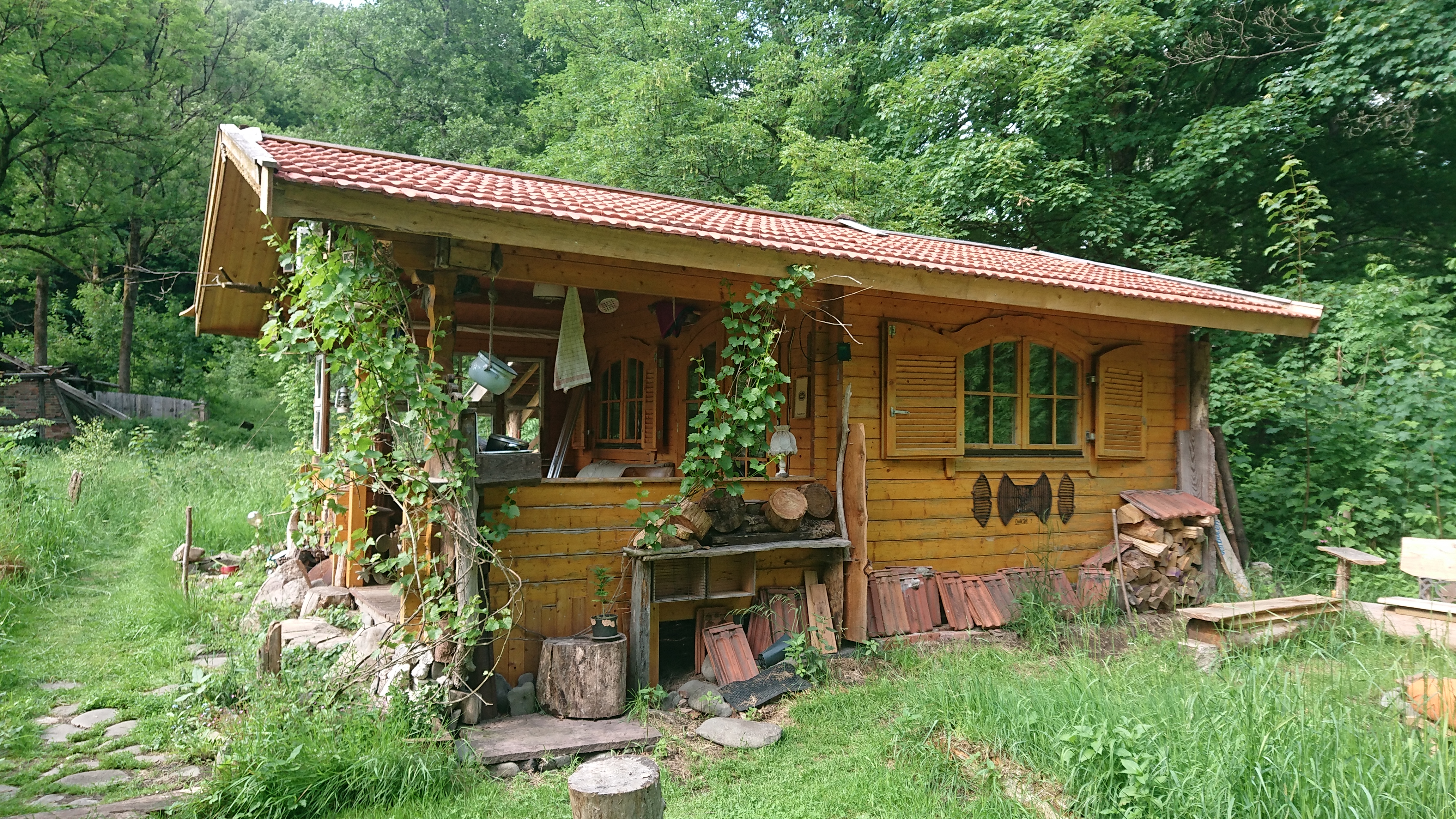 Royal Rustikal - Goldhütte im Siebertal | Harz photo 2