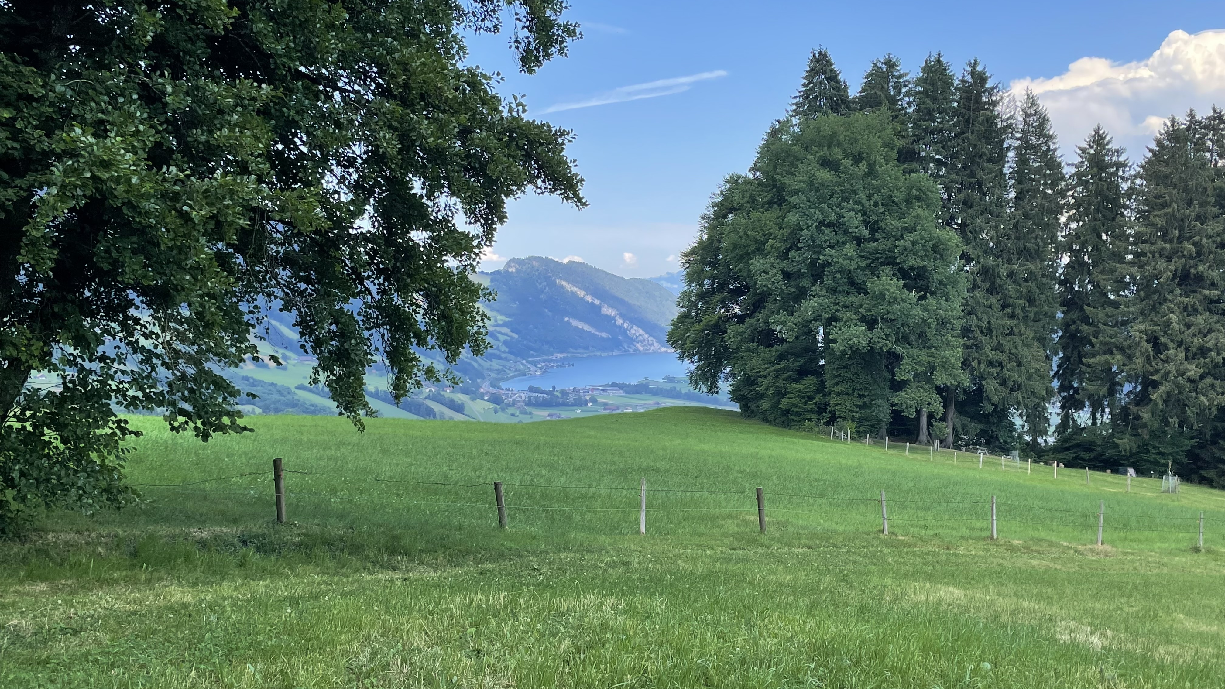 Neigers Waldplätzli photo 3