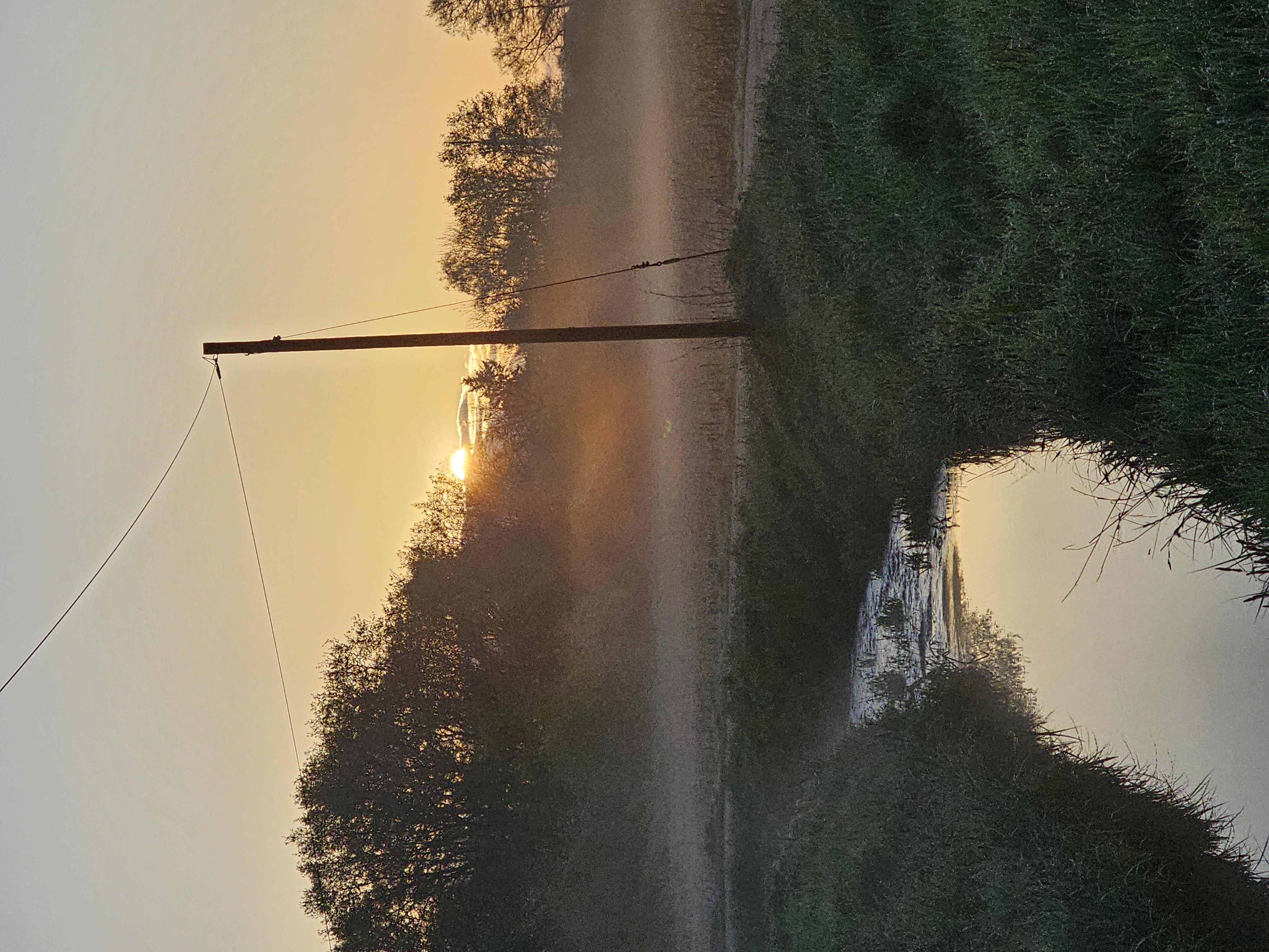 Campen auf der Pferdewiese photo 2