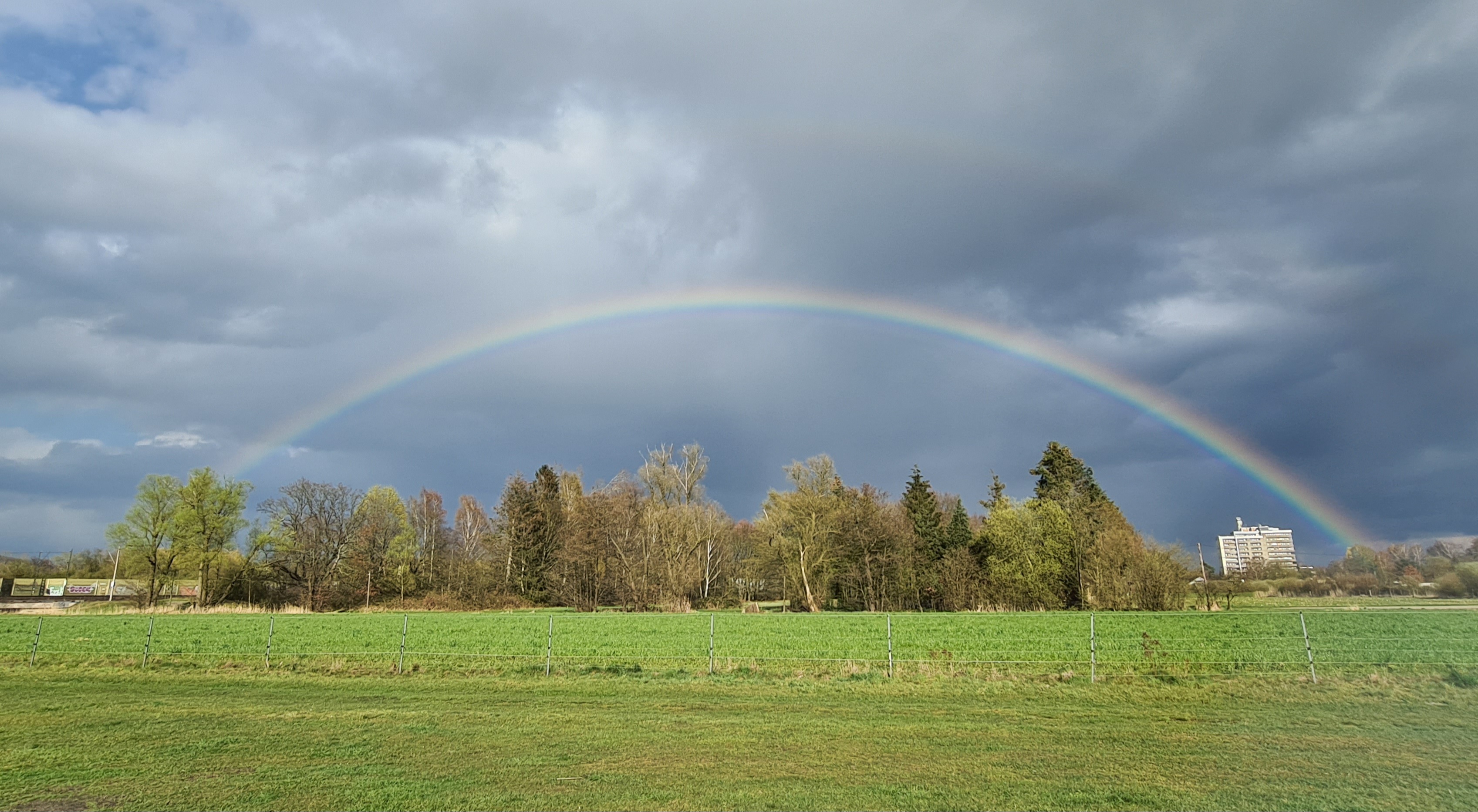 Campen auf der Pferdewiese photo 3