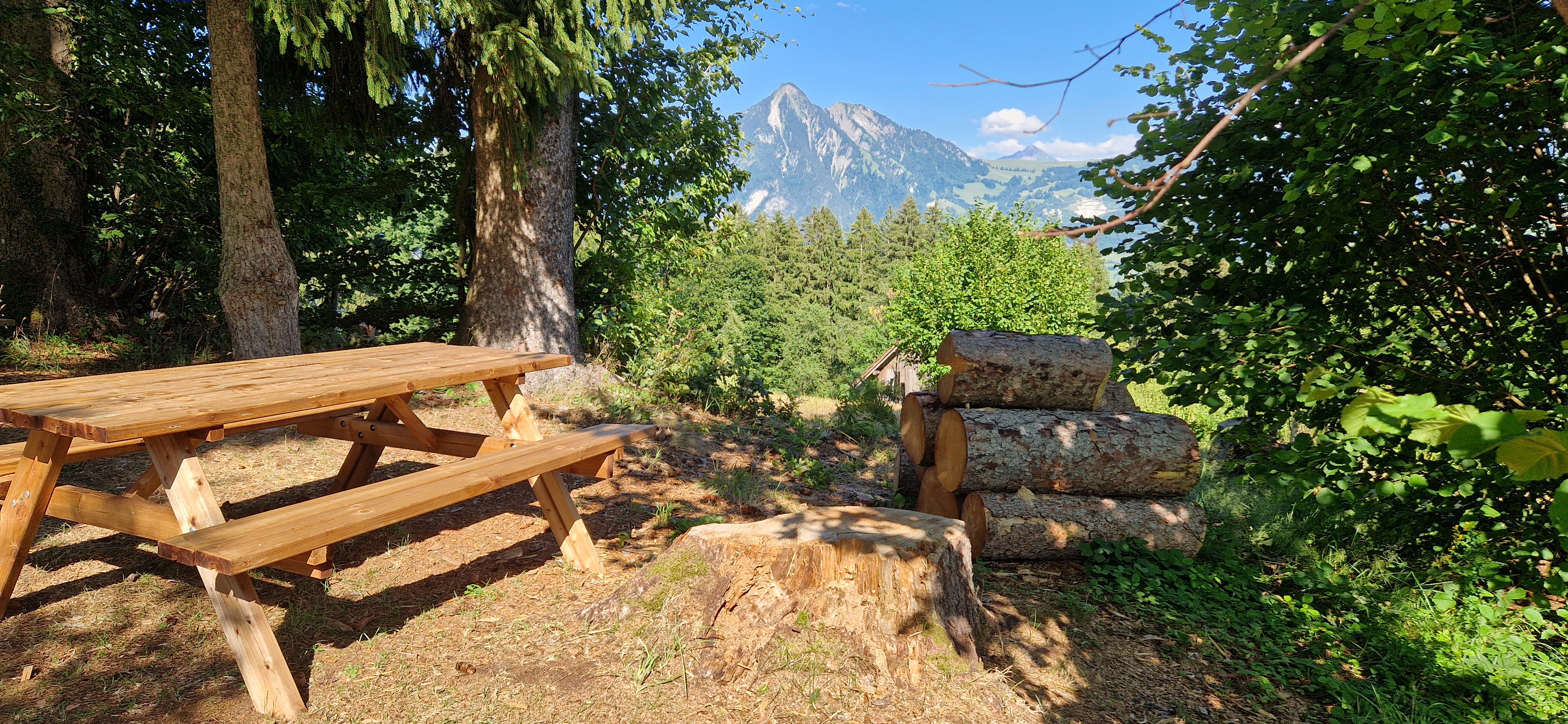 Neigers Waldplätzli photo 5