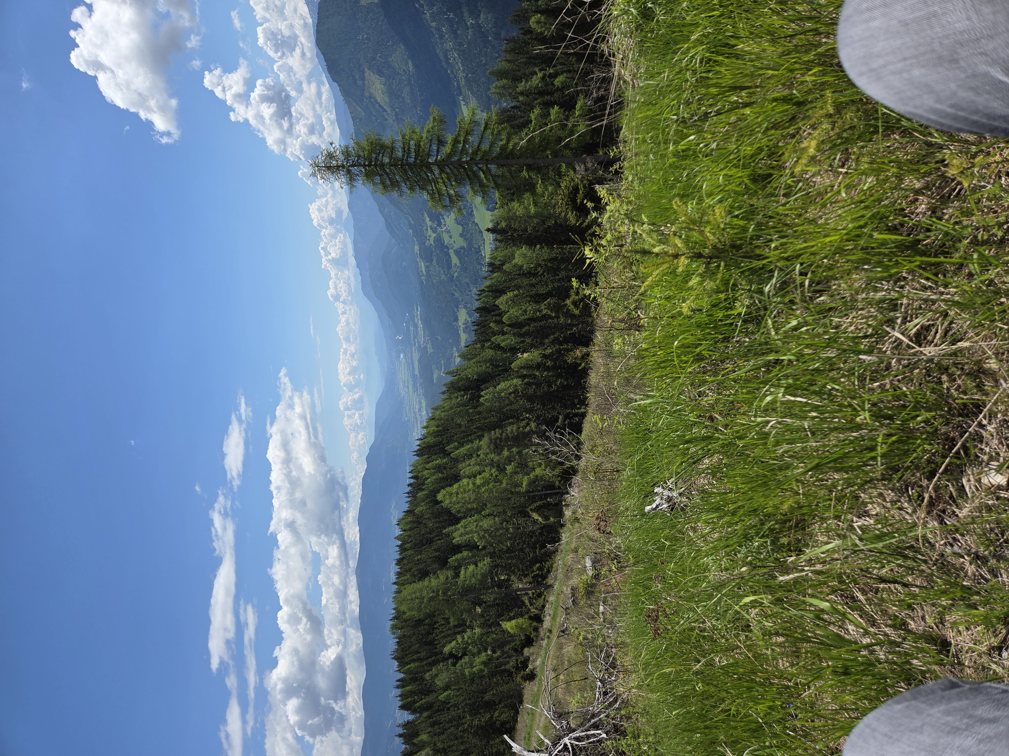 Camp zwischen Wald und Wiese photo 4