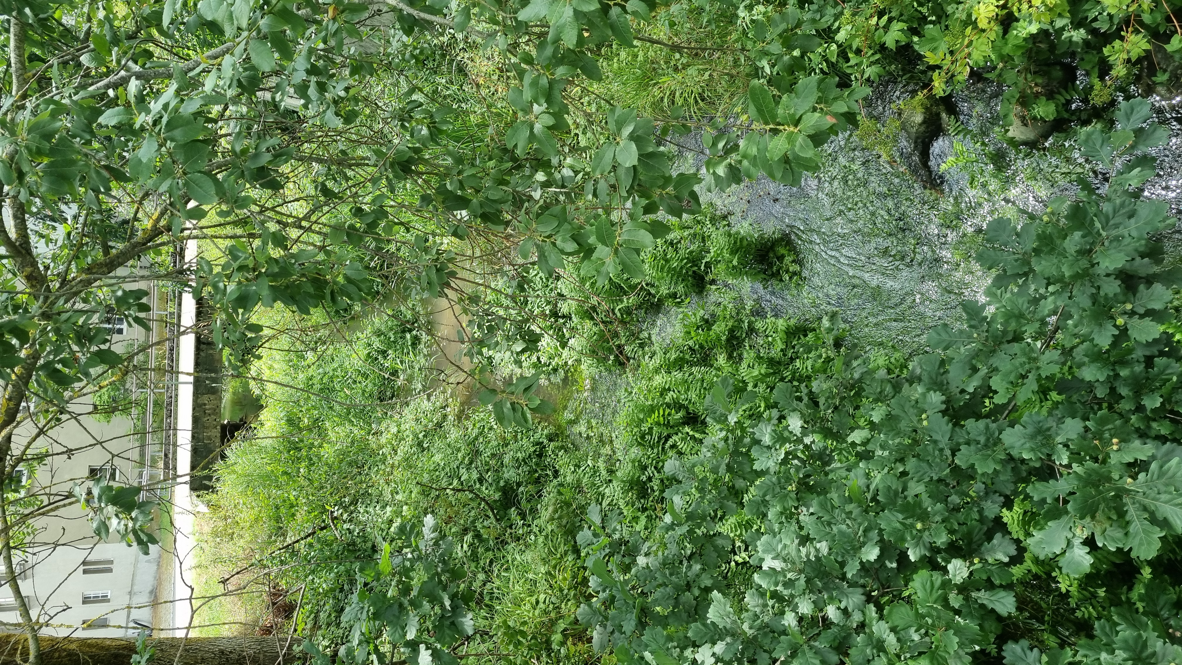 Lauschiger Garten mit sanftem "Bachgeplätscher" photo 2