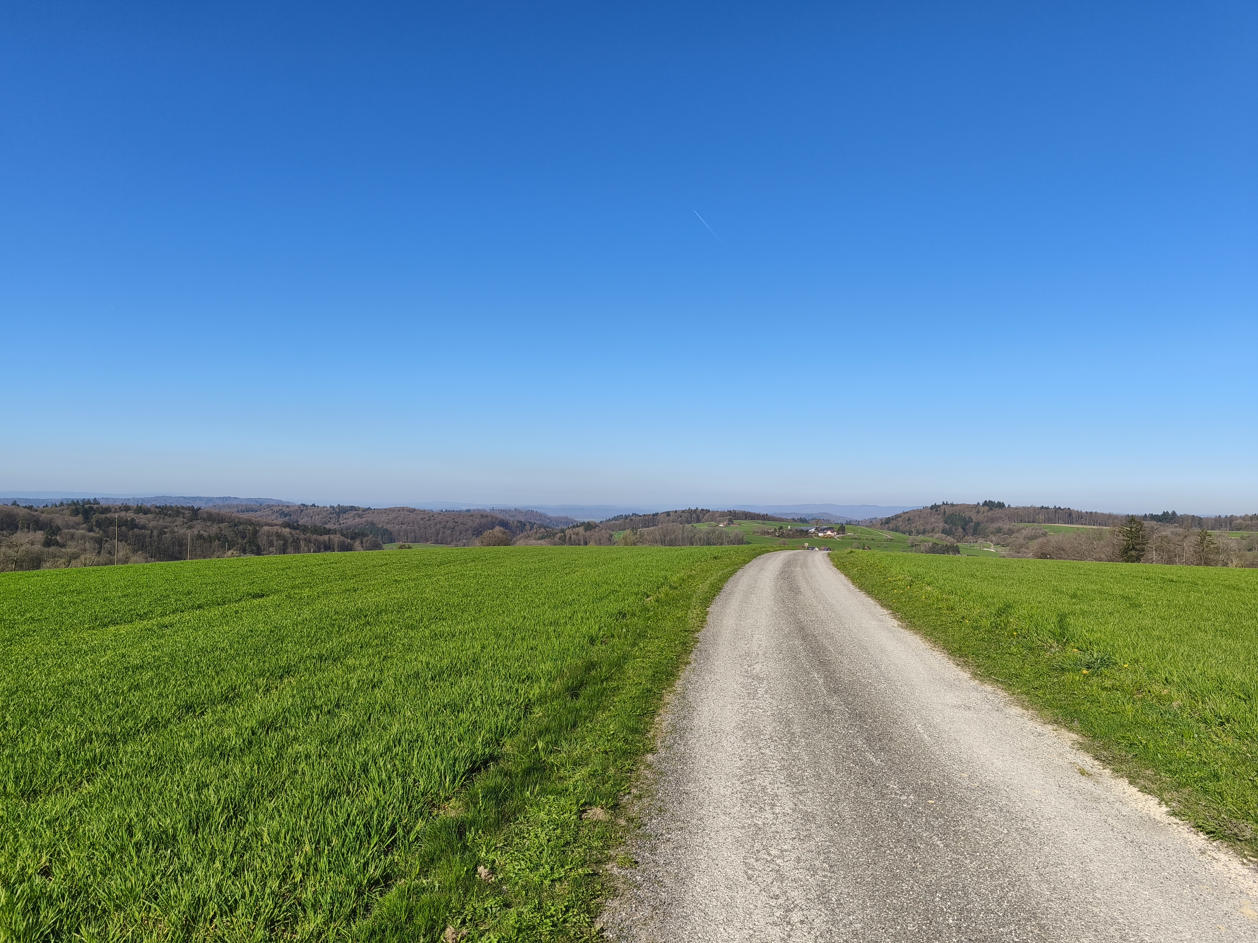 Hof Ferdinandslust - Stellplätze mit Panoramablick photo 3