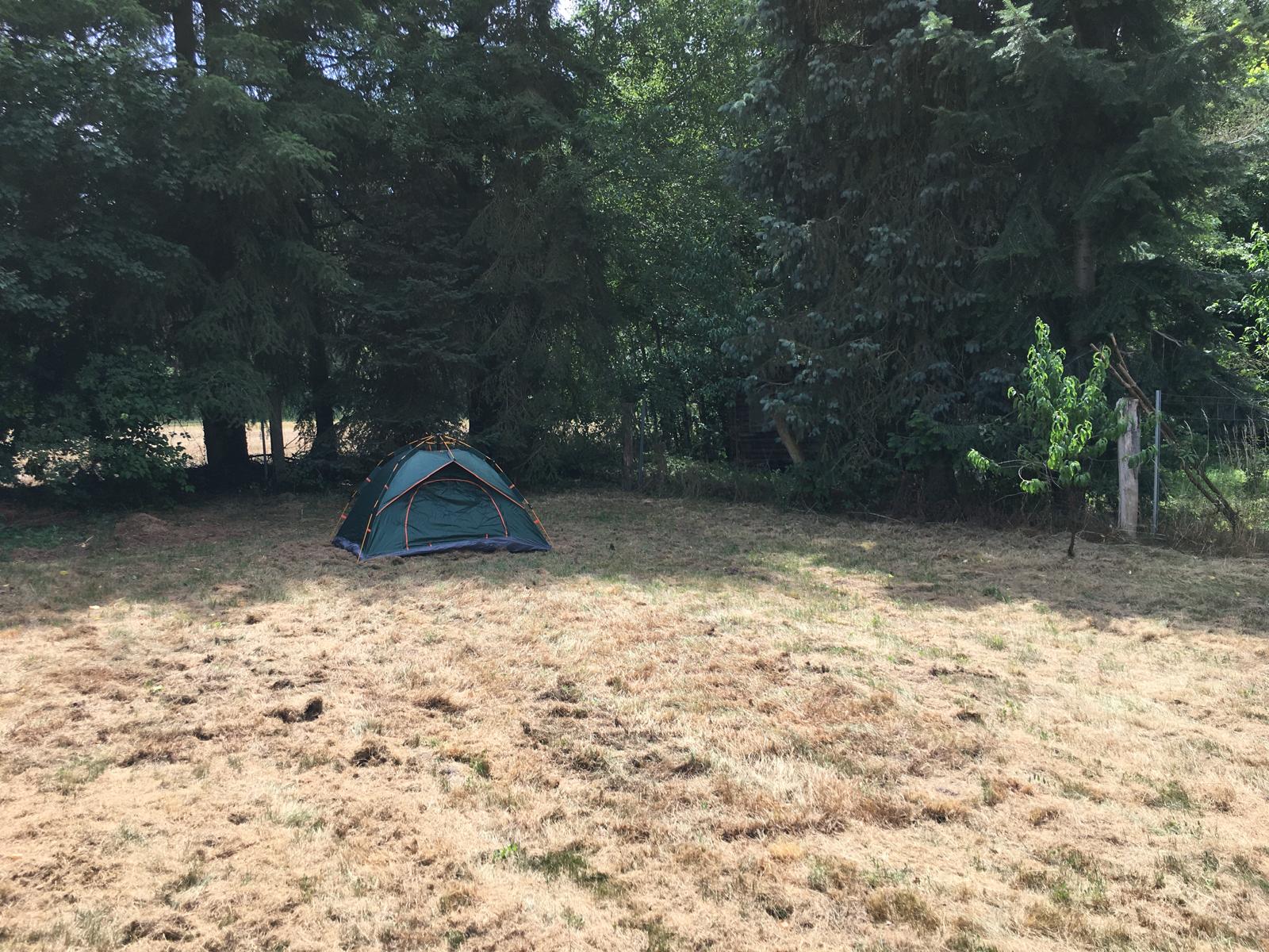 Stellplatz im Garten am Stadtrand von Müllrose - Photo 2
