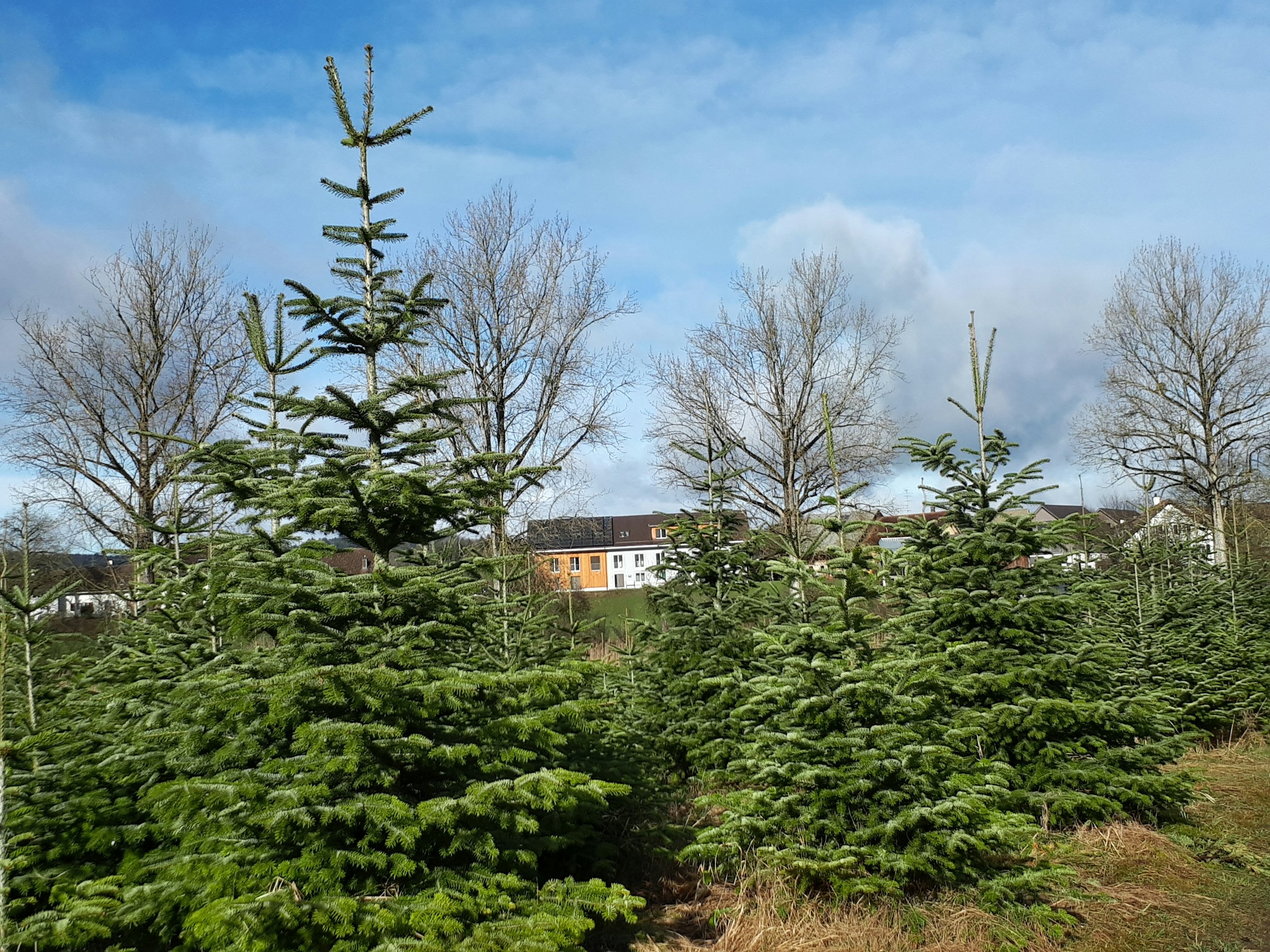 Camp Reussblick photo 2