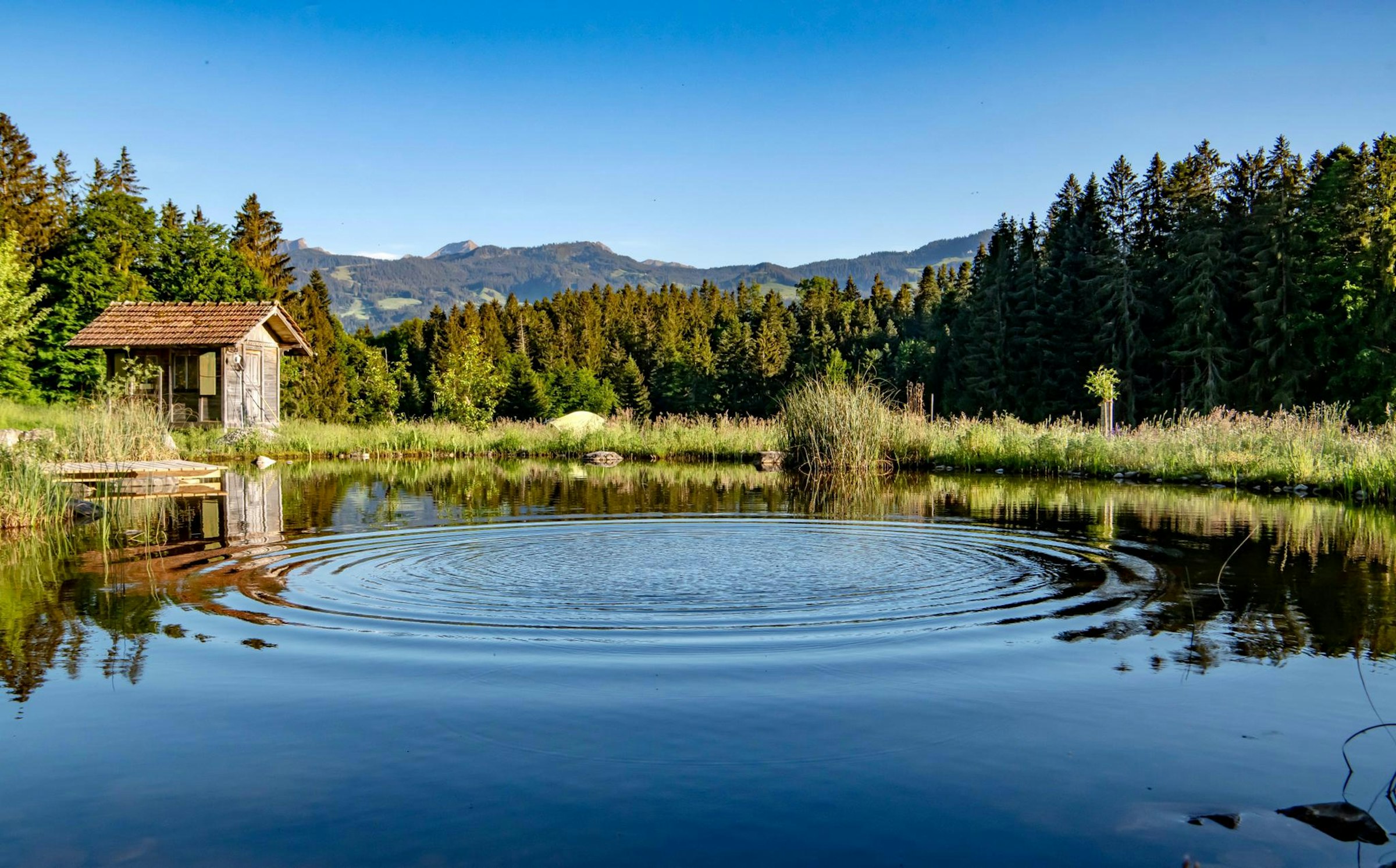 Natur pur photo 2