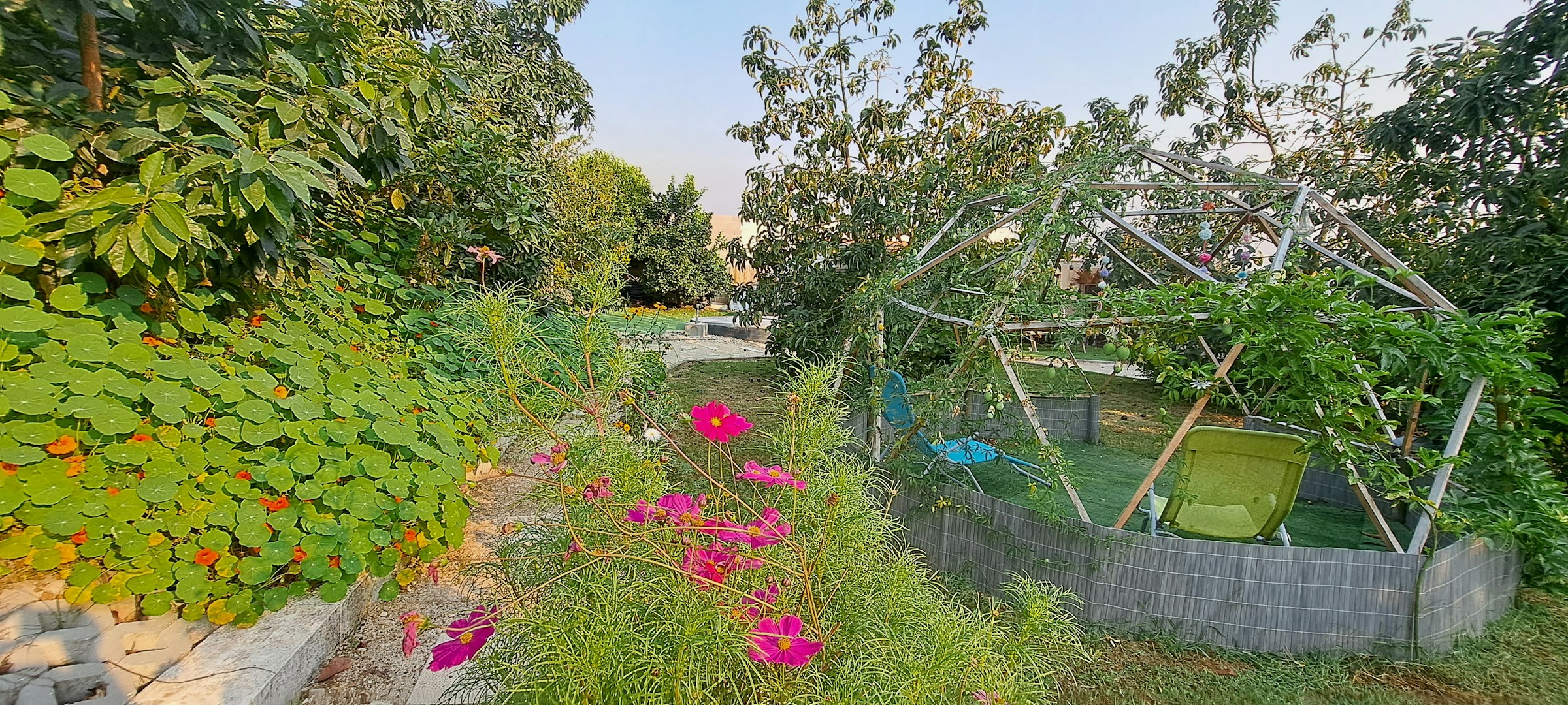 Bungalow Paradise photo 5