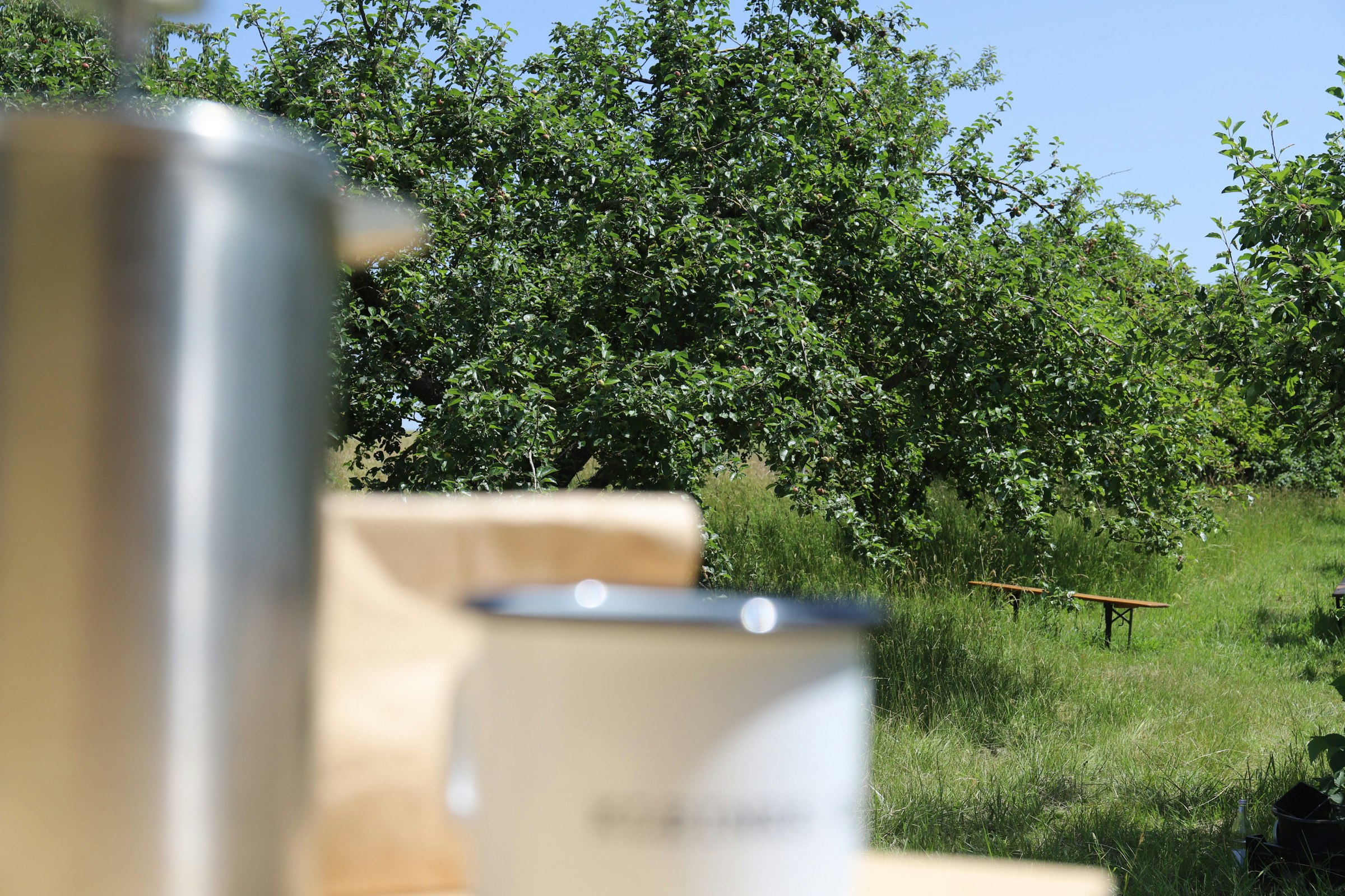Wilde Ruhe auf naturnaher Obstwiese photo 3