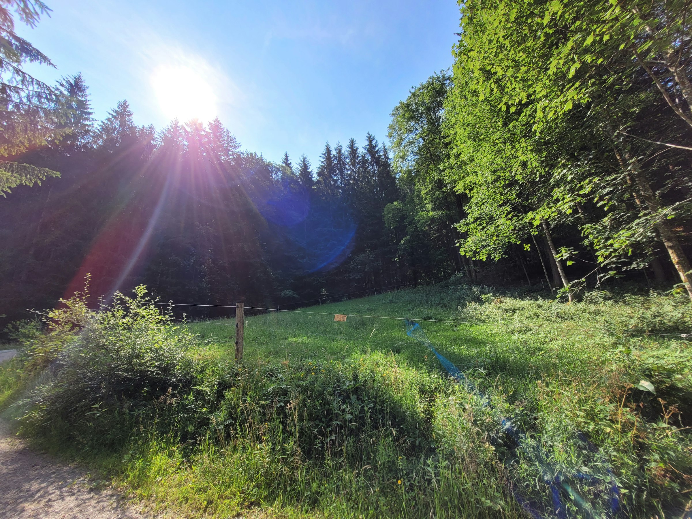 Naturcampingplatz unter den Buchen photo 4