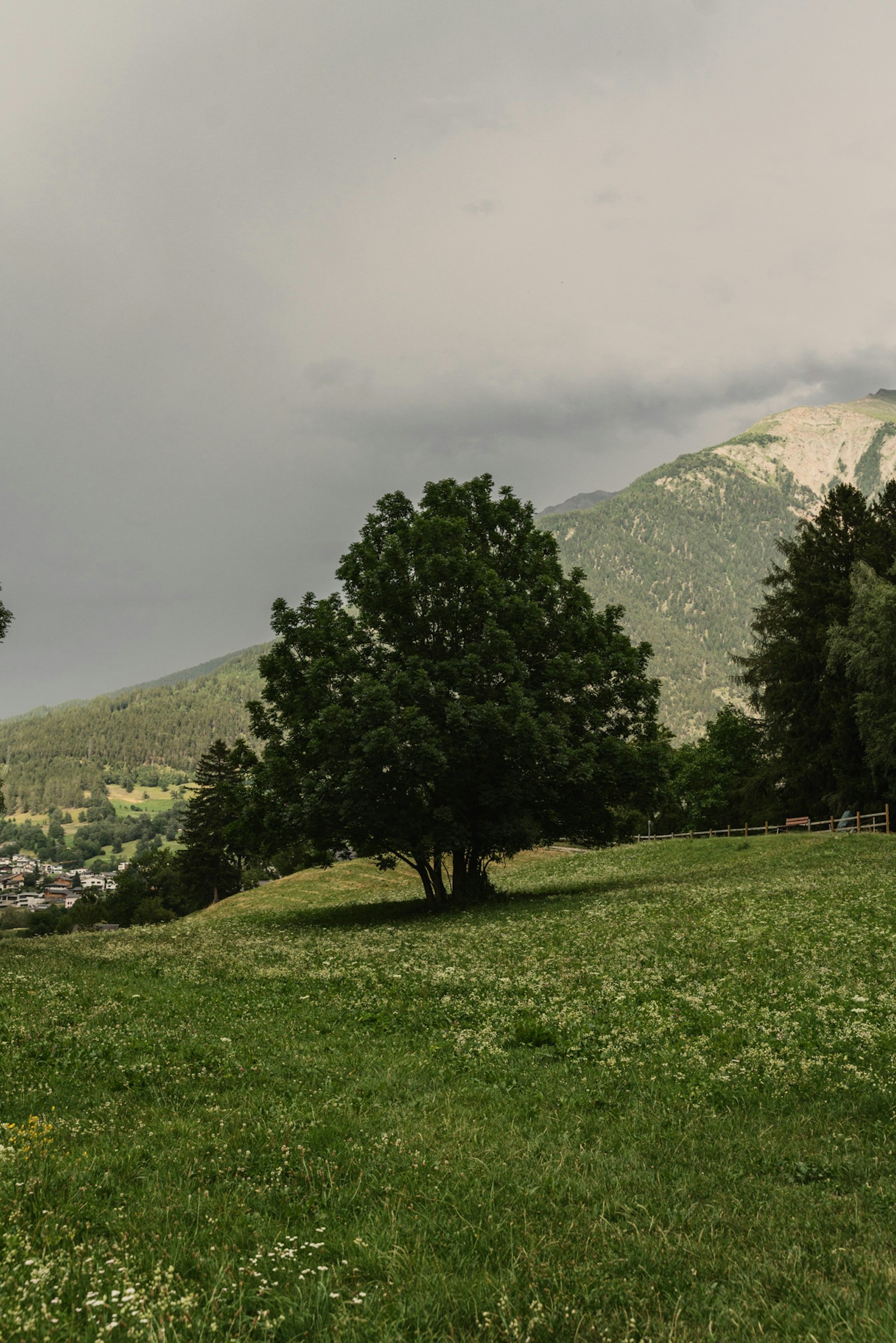 Camp mit Bergsicht photo 5