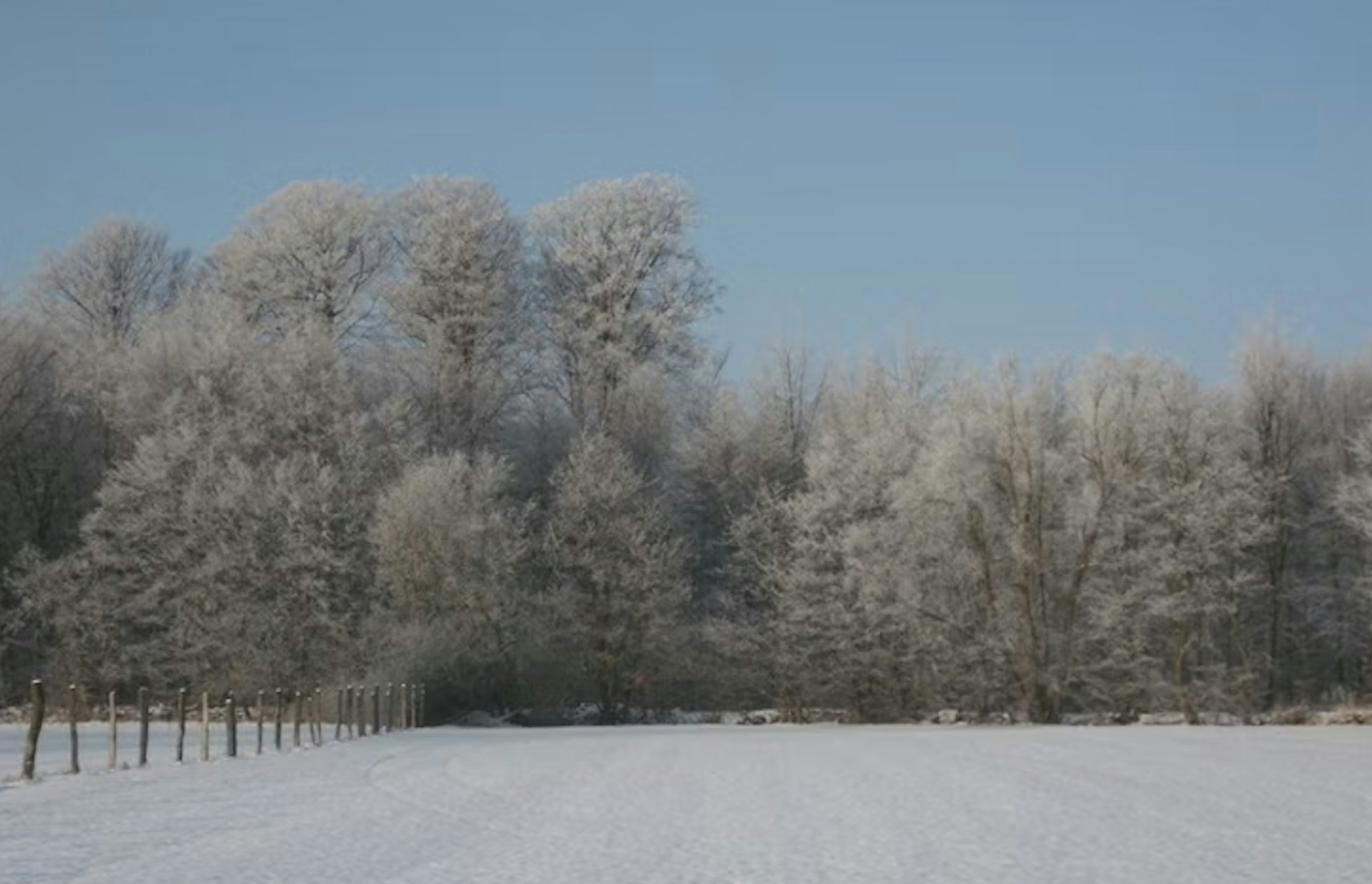 Hinter einem Resthof vorm Wald photo 4