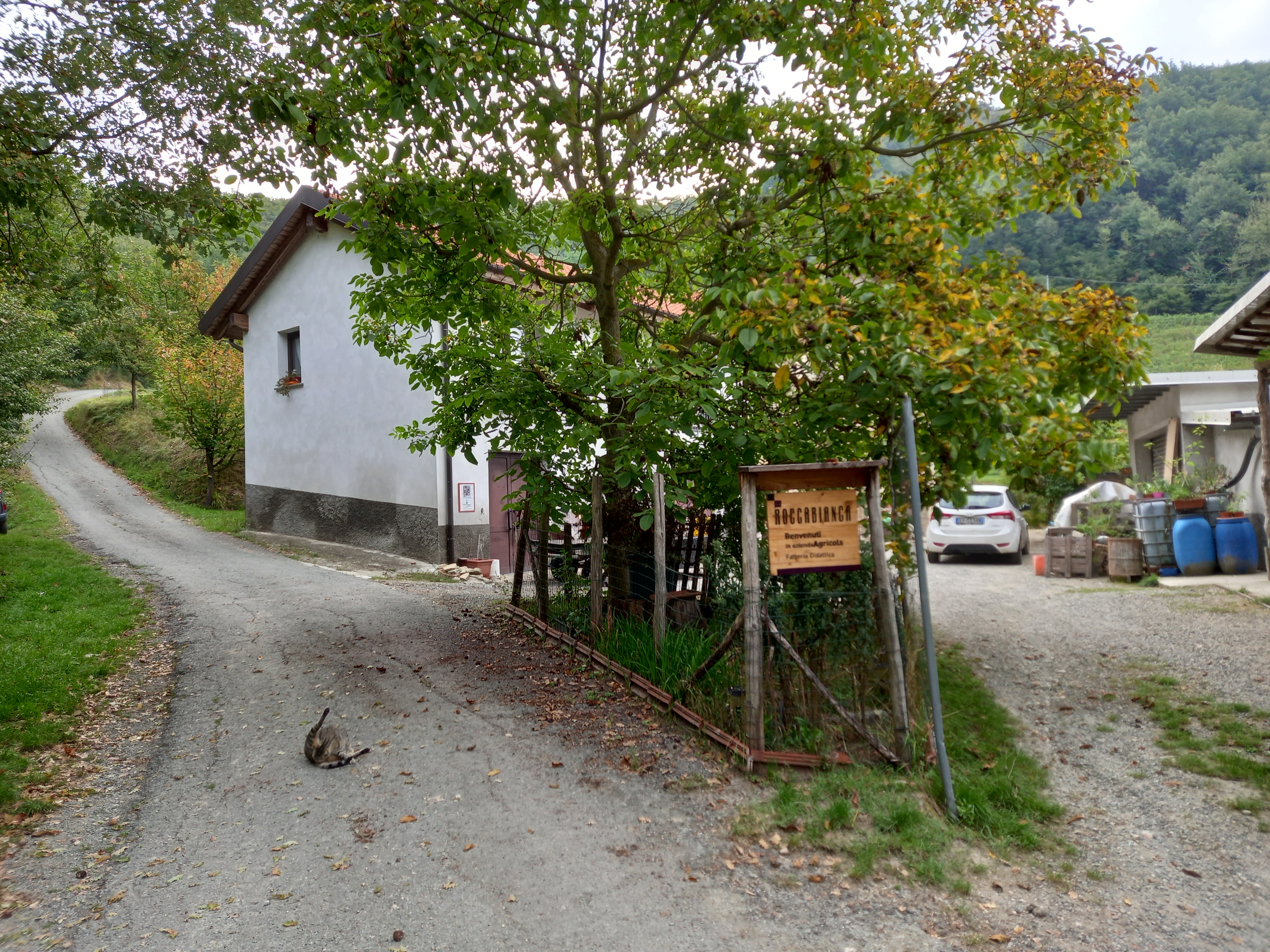 Secondo natura photo 5