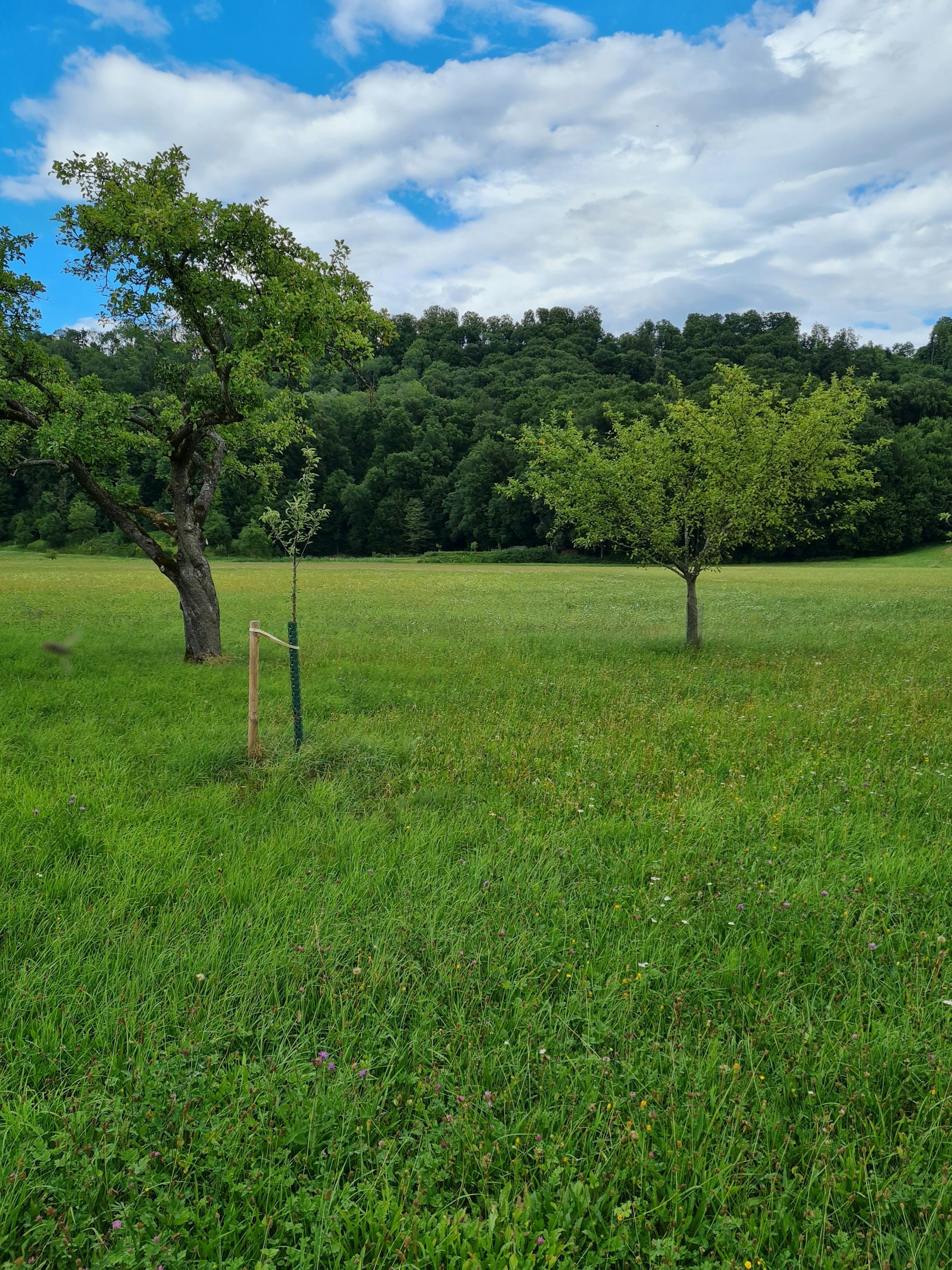 Stellplatz im Tal der Könige photo 5