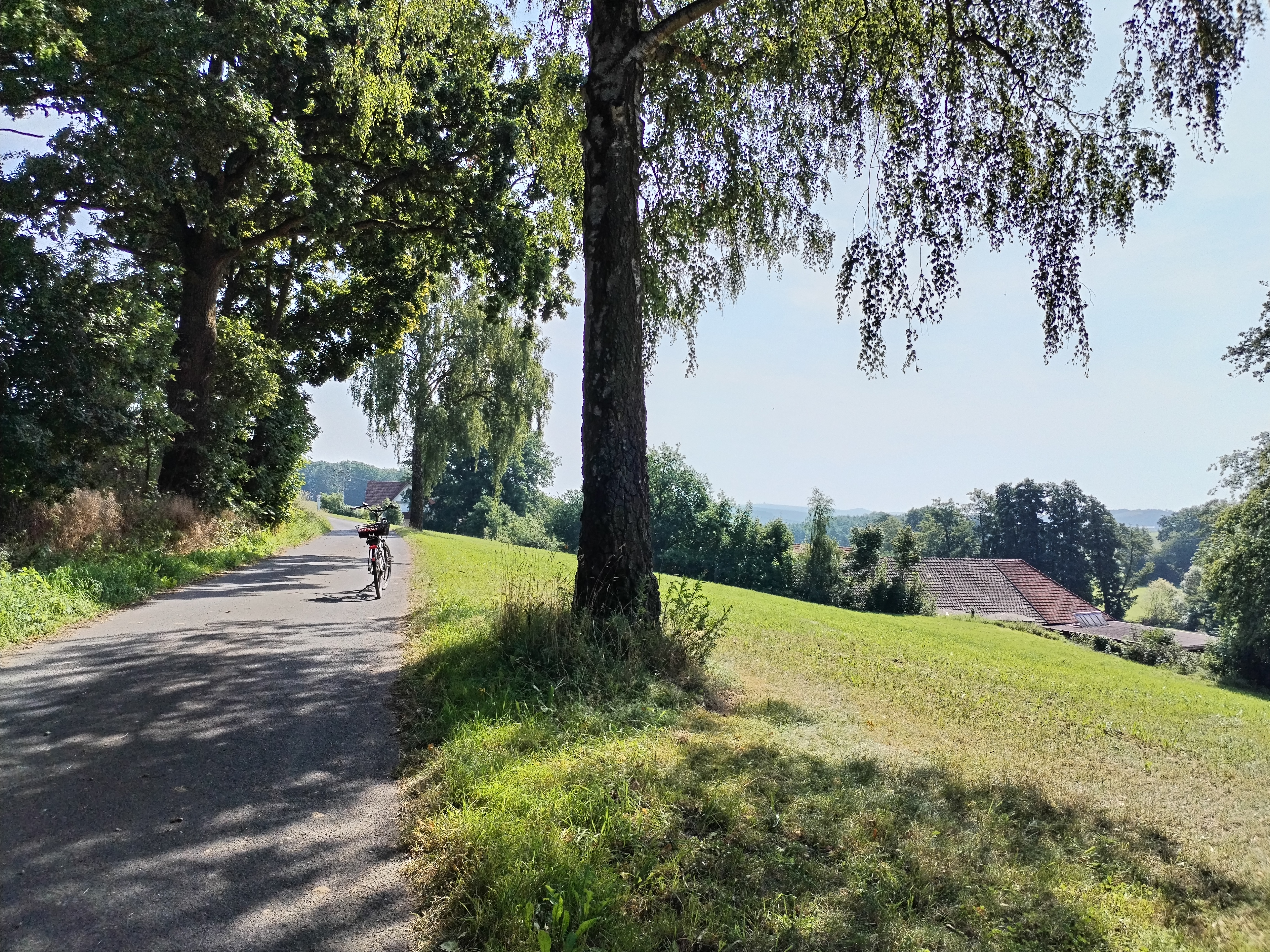 Wiese an ehemaligem kleinen Bauernof photo 3