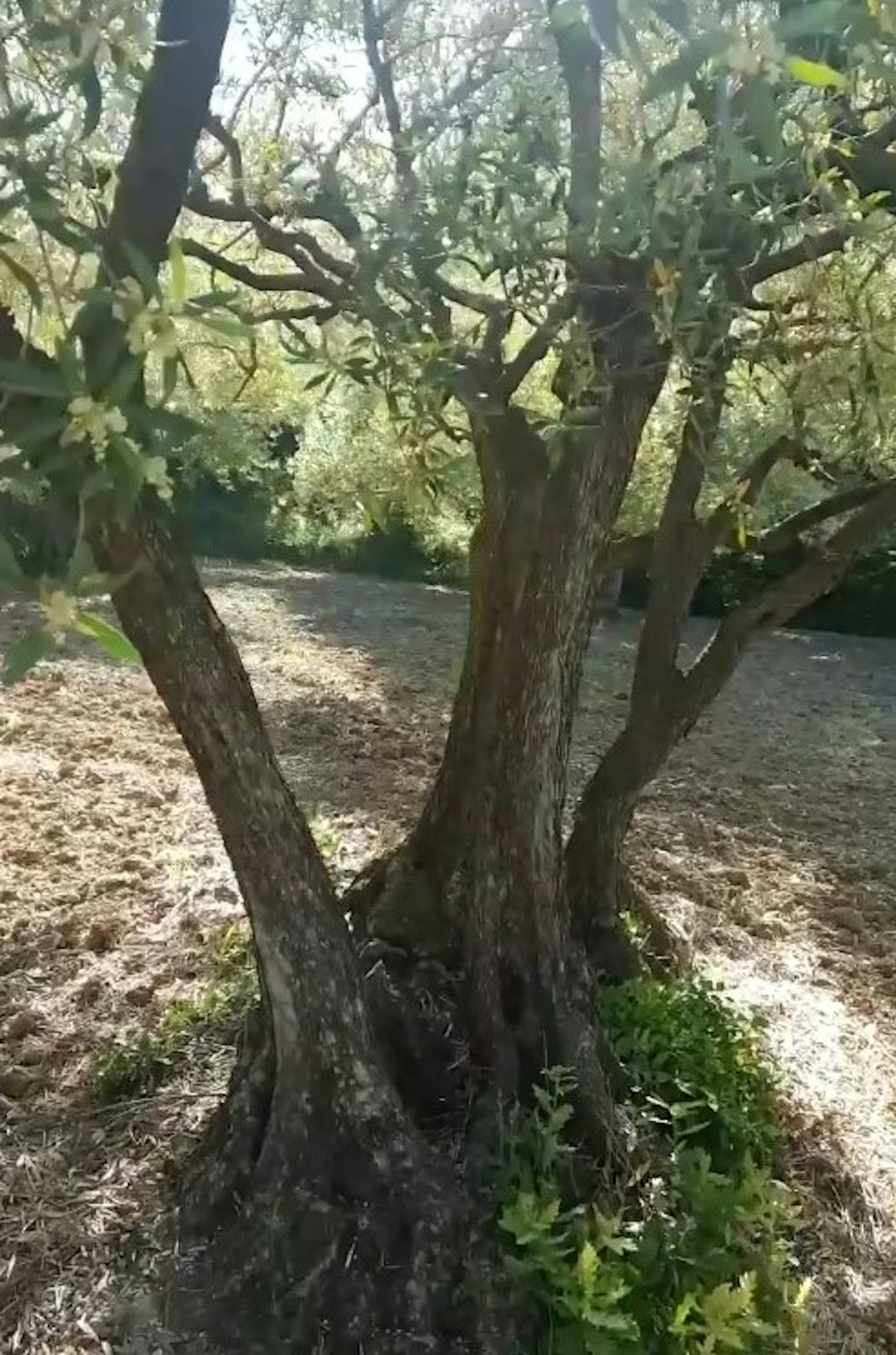 Paradis dans la Drôme Provençale photo 5
