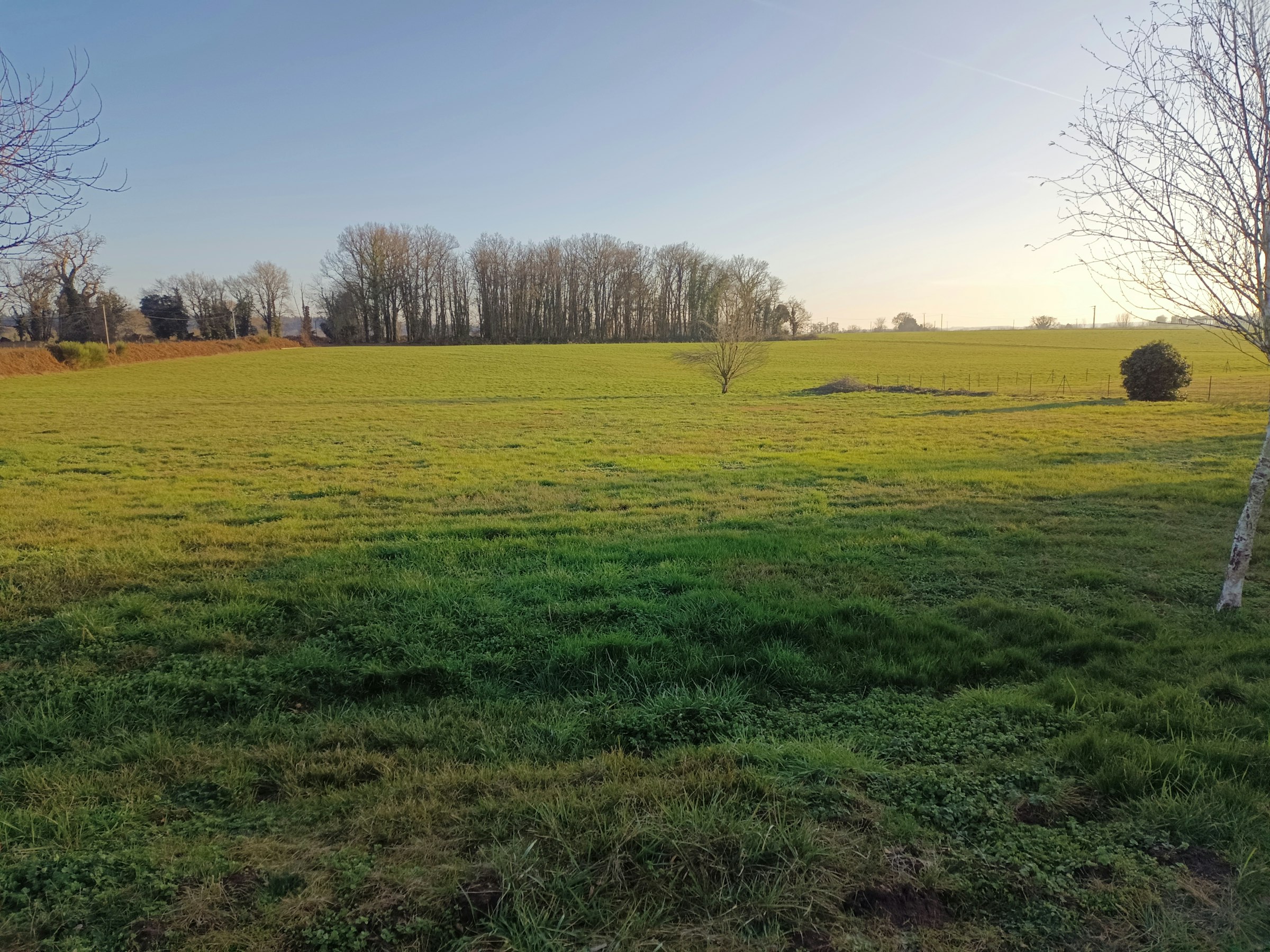 Ein Platz im grünen - Main photo