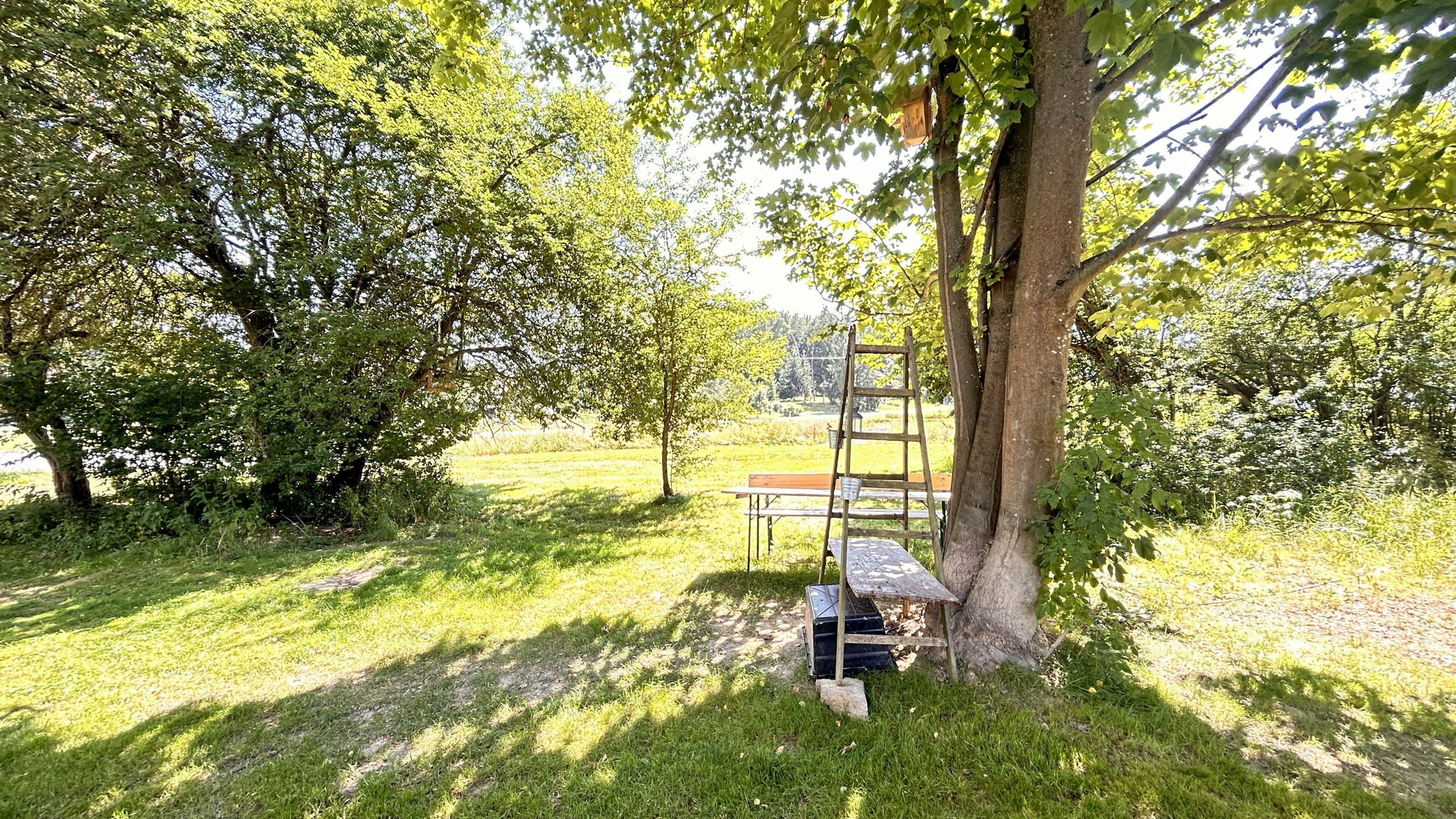 Idylle am Wachhügel photo 3