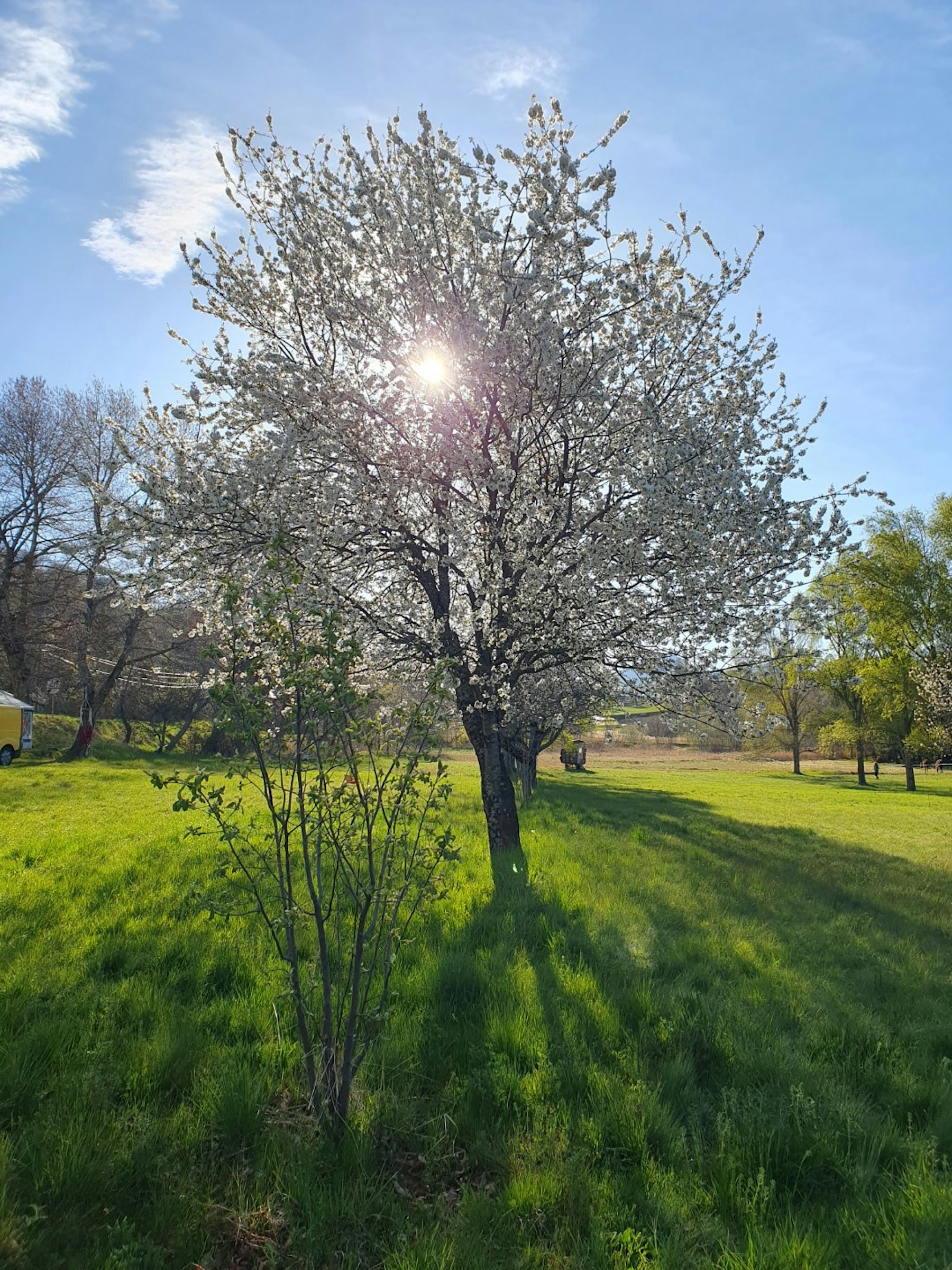 Pas de Côté, Gamping : Serre Ponçon photo 2