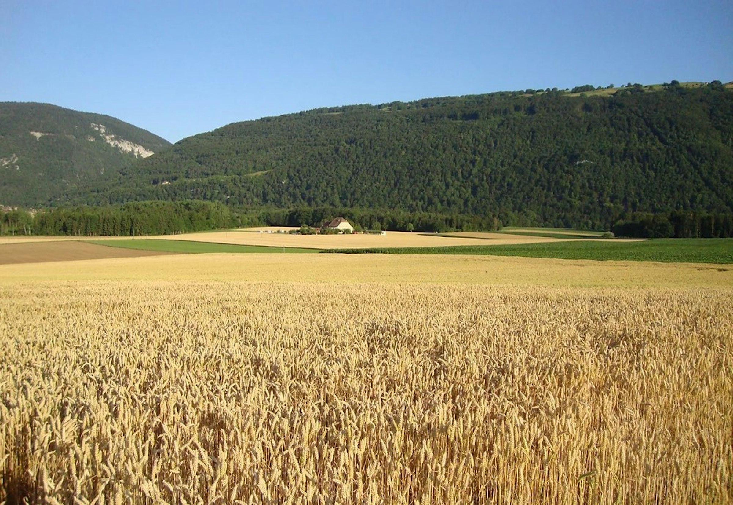 Natur-Camping "Ferme Bois du Fey" photo 2