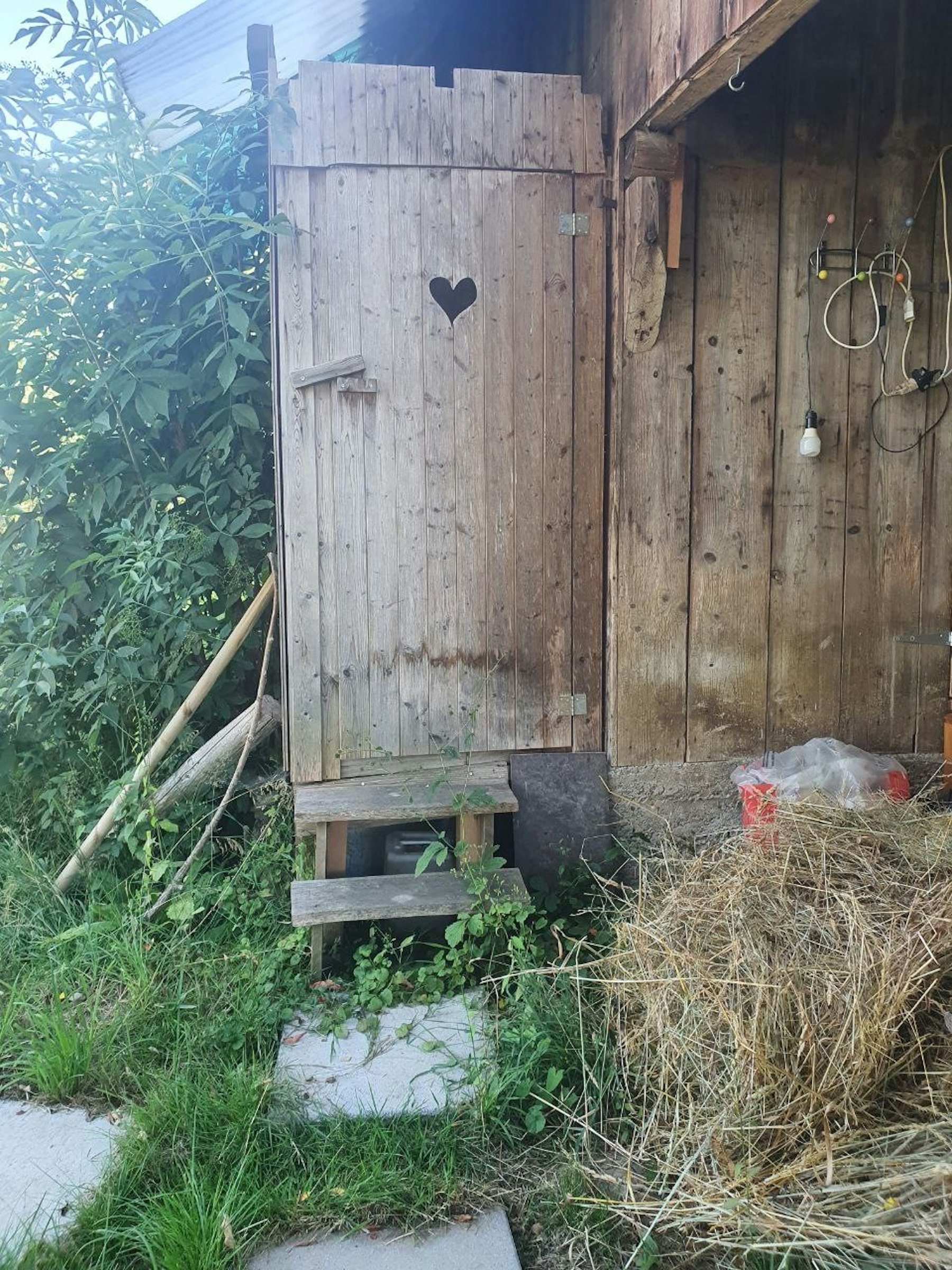 Augenweide photo 4
