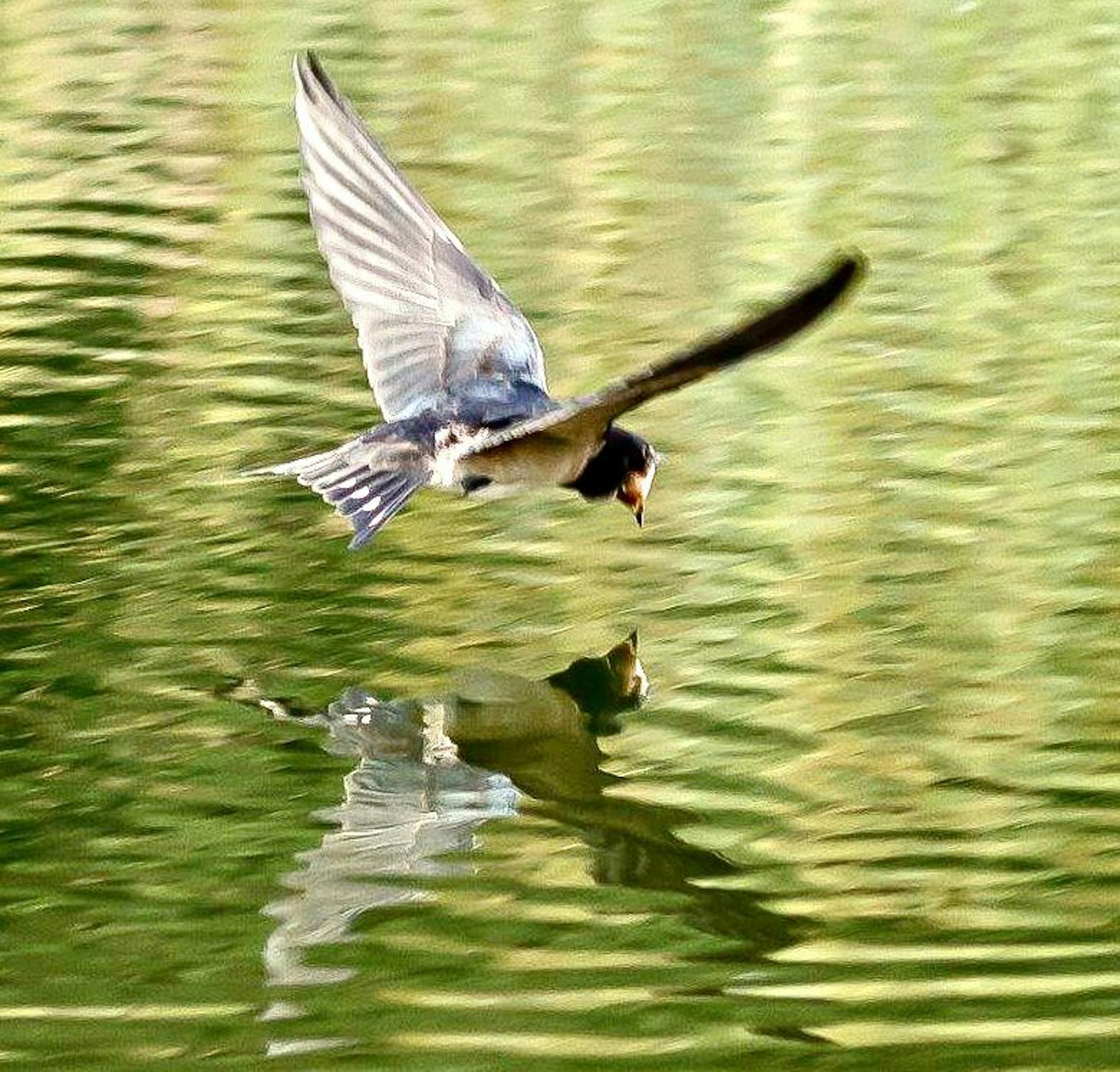 Natur pur photo 4
