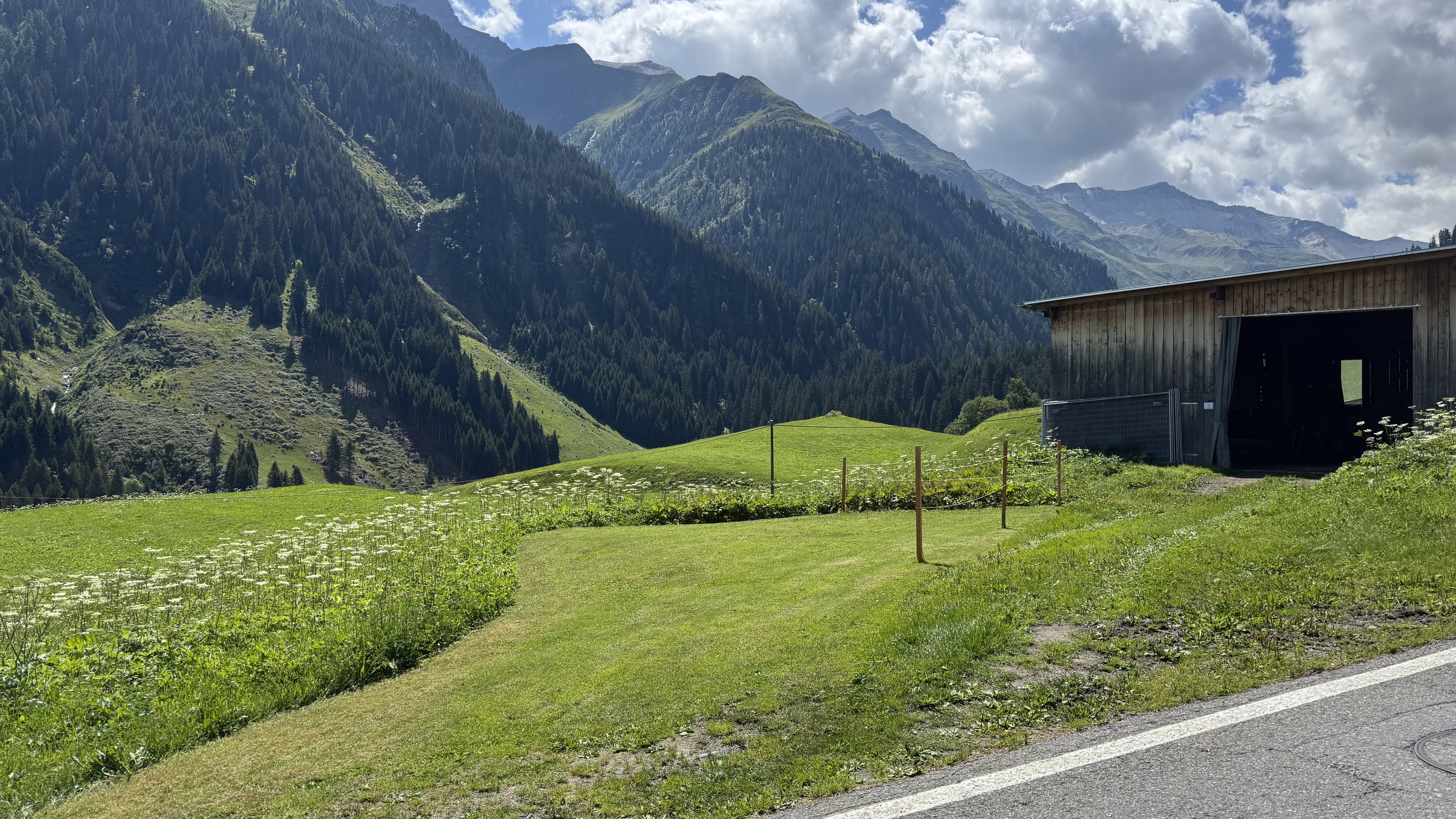 CampCons nahe der Greinaebene photo 2