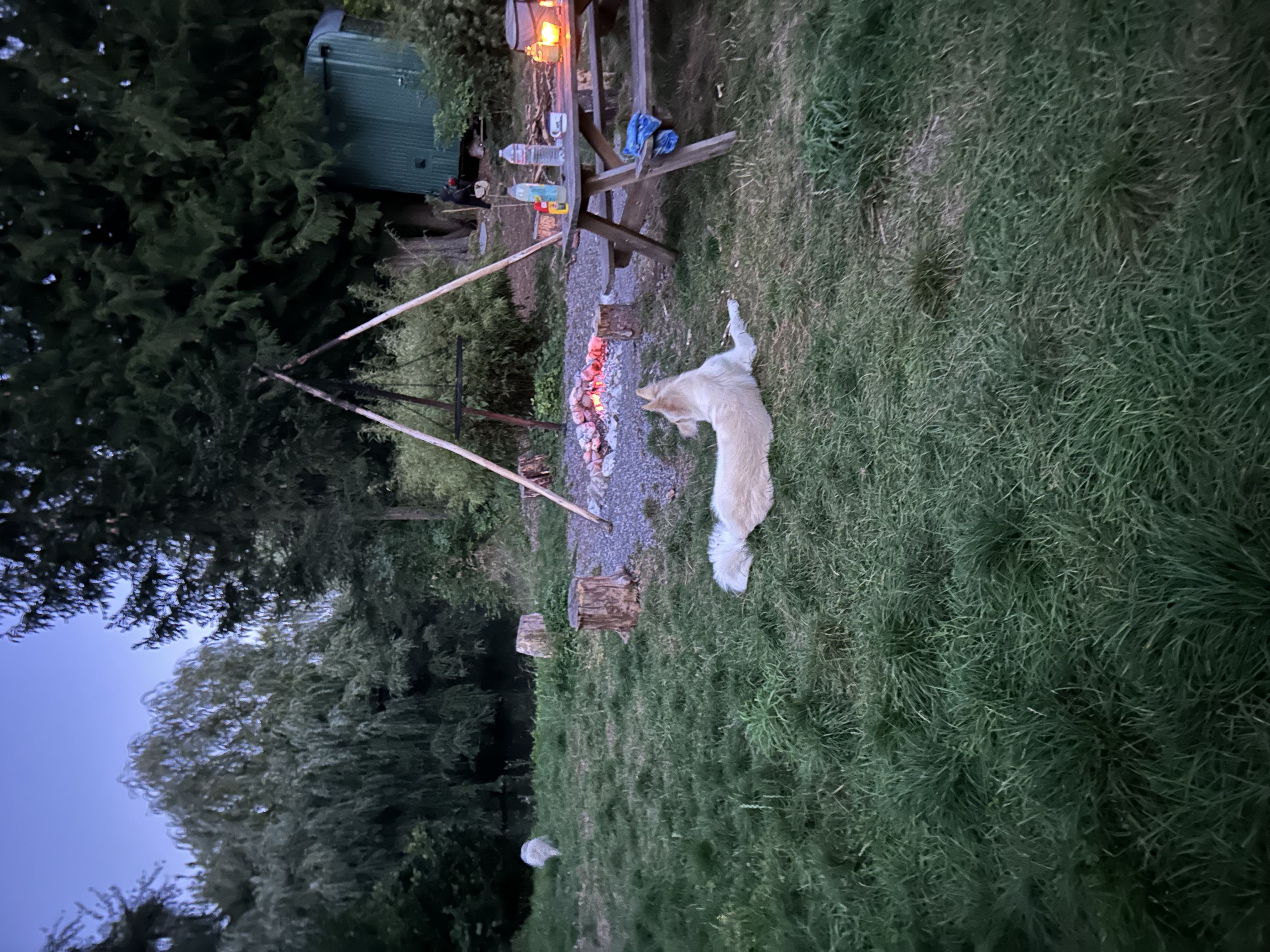 Oase am Weiher photo 3