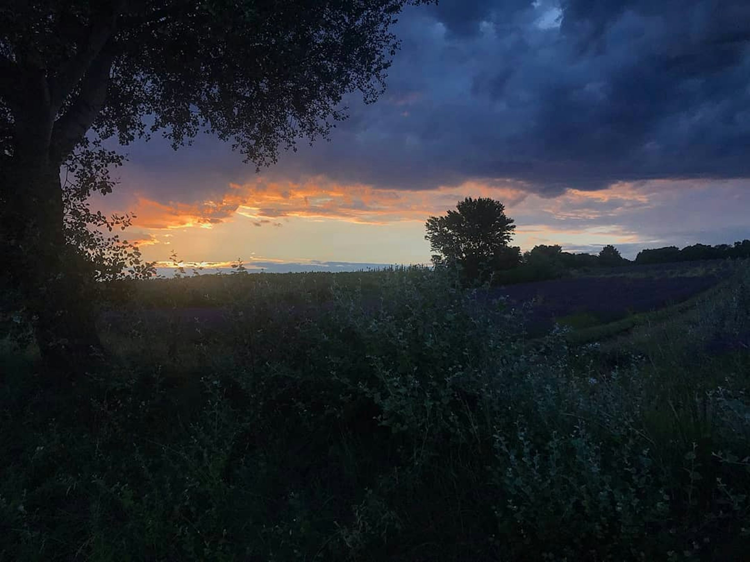 Paradis dans la Drôme Provençale photo 3