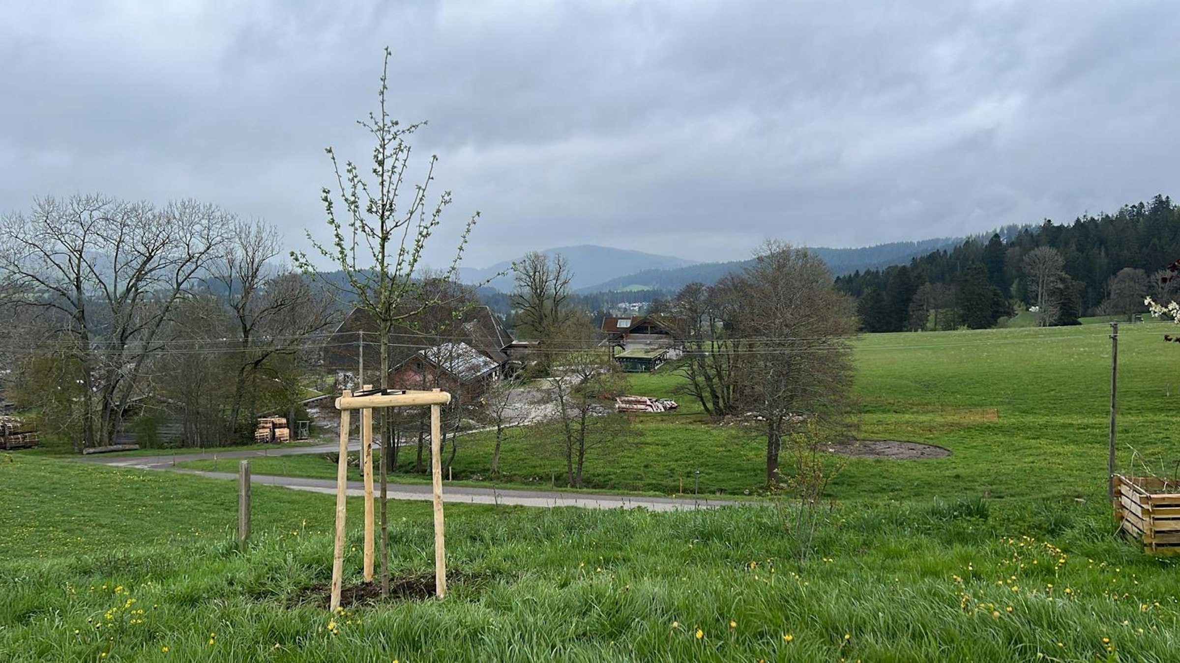 Zelten im Garten bei Hinterzarten photo 2