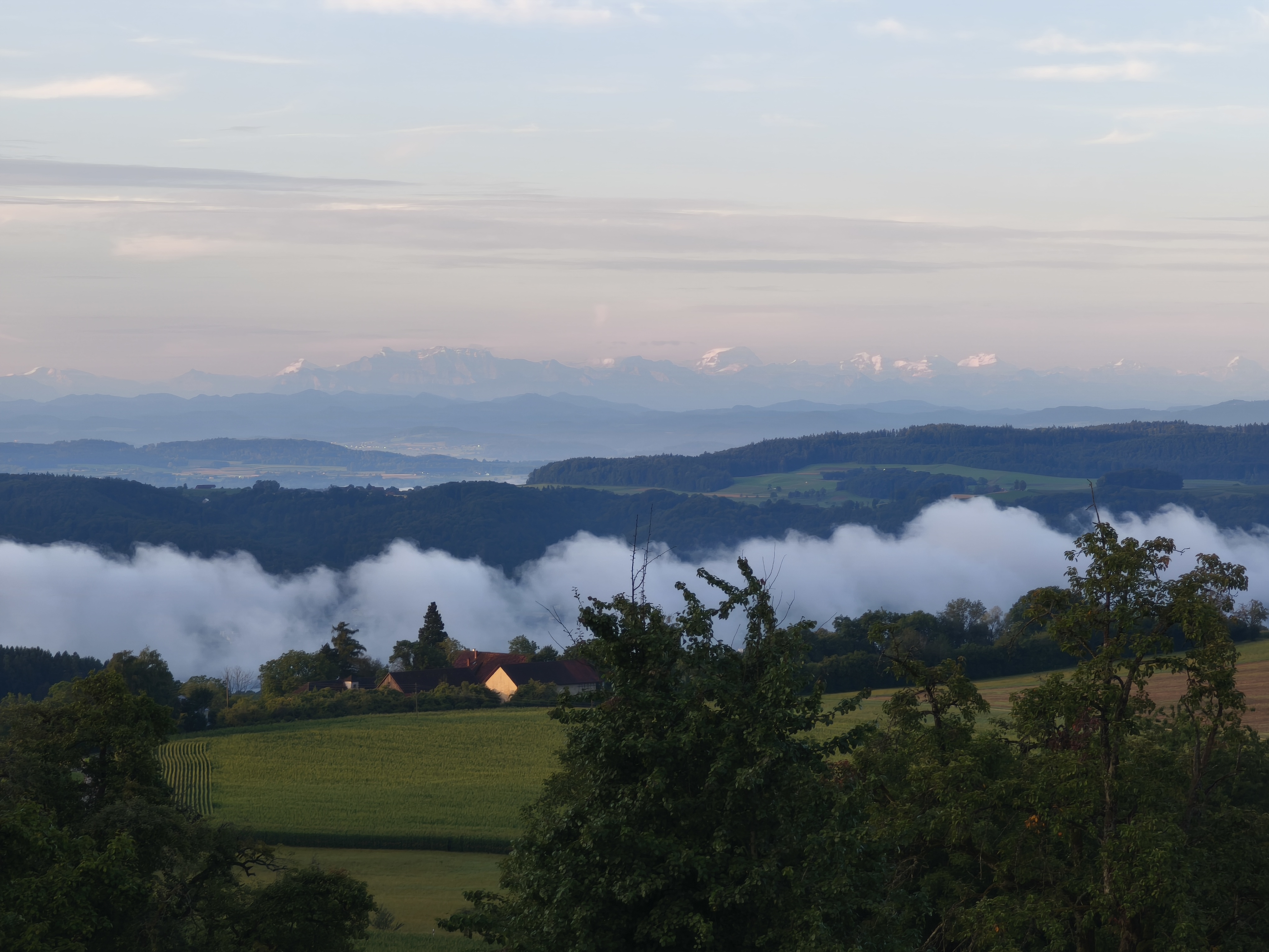 Hof Ferdinandslust - Stellplätze mit Panoramablick photo 4