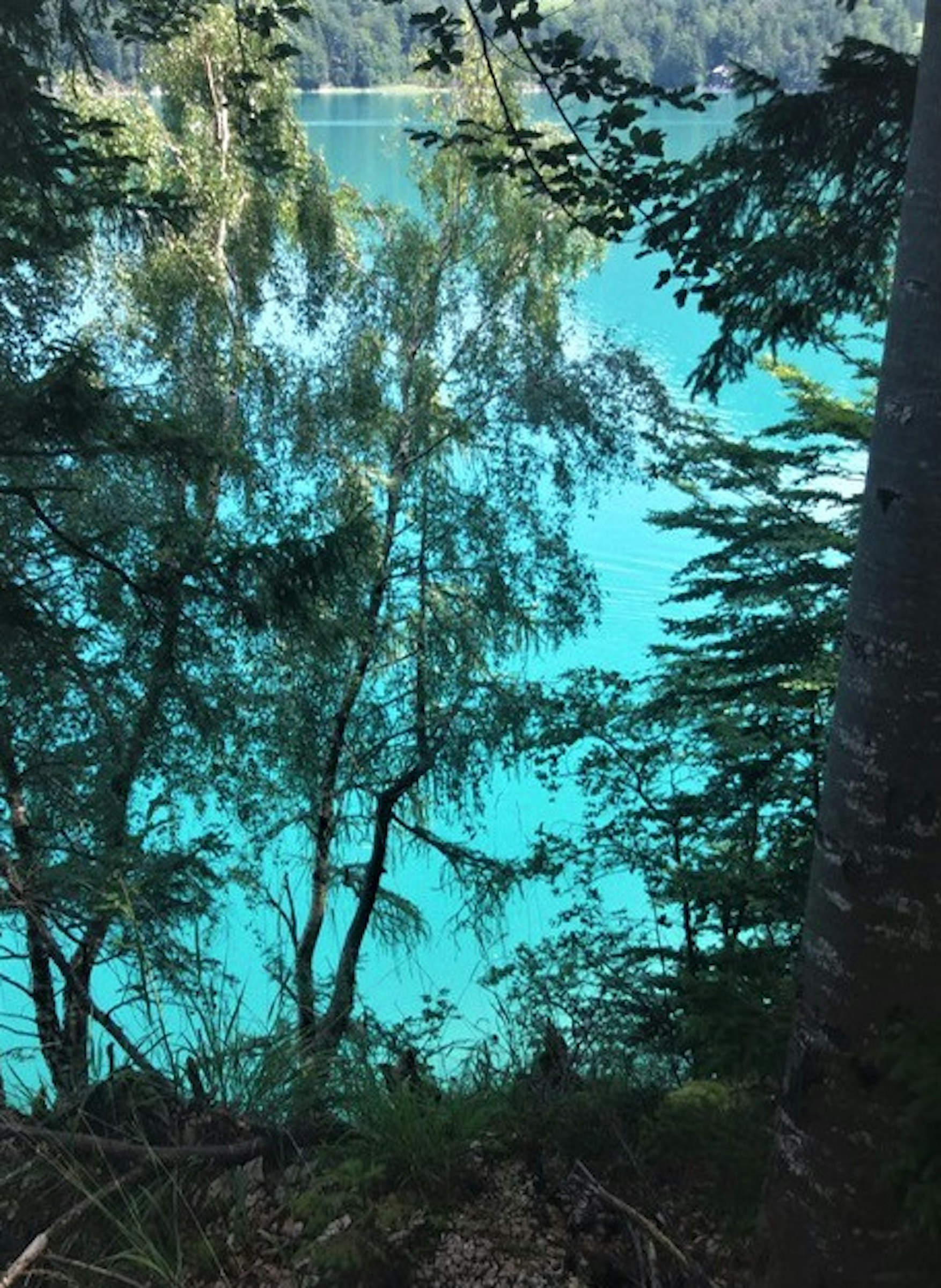 Sommerfrische nahe Bergsee photo 5