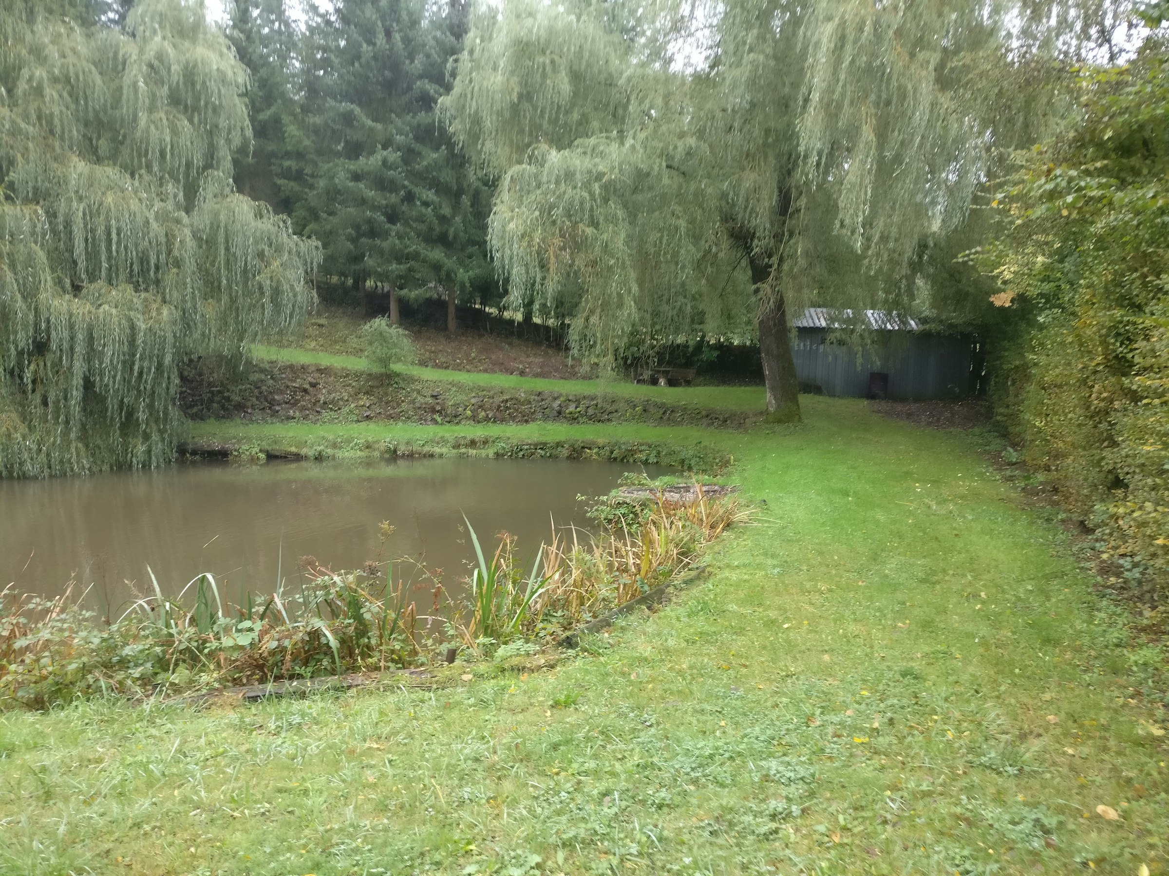 Forellenhof bei Friedels Enkel photo 3