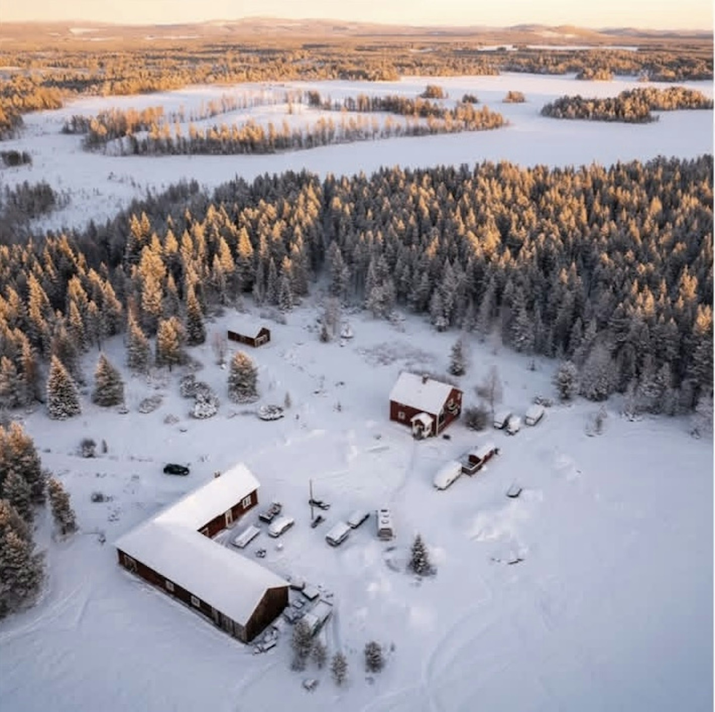 Echtes Lappland - im Wald & am See