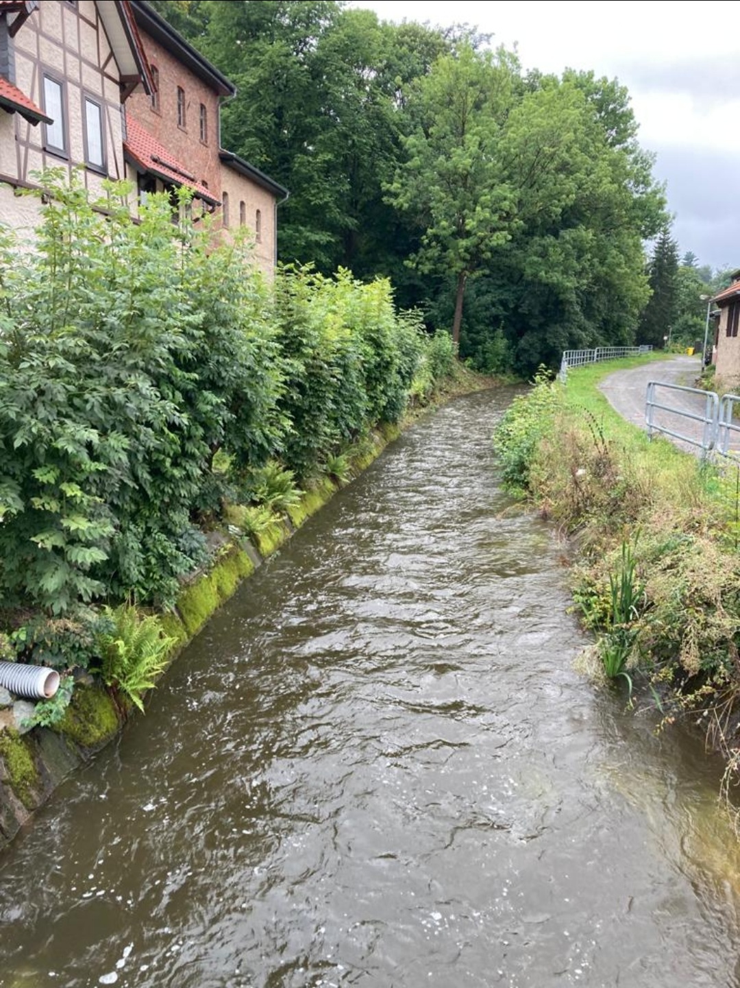 Platz im grünen Selketal photo 5