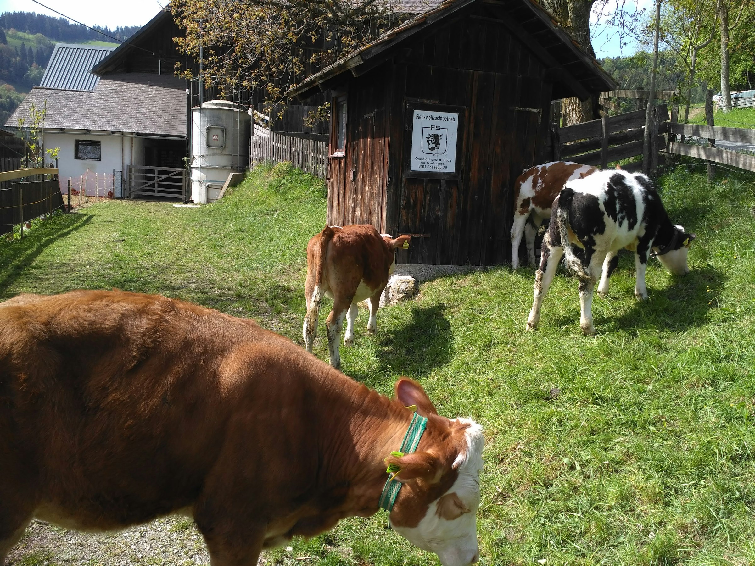 Aussichtspunkt Die 3 Wetterkreuze photo 3