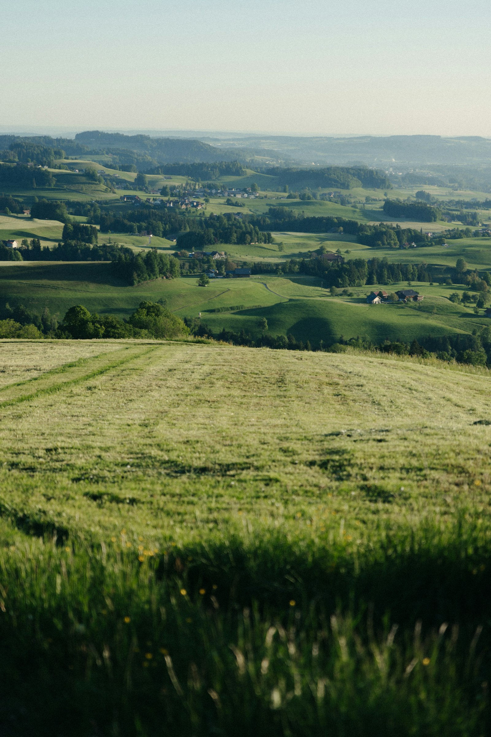 Säntisblick Sedelberg photo 5
