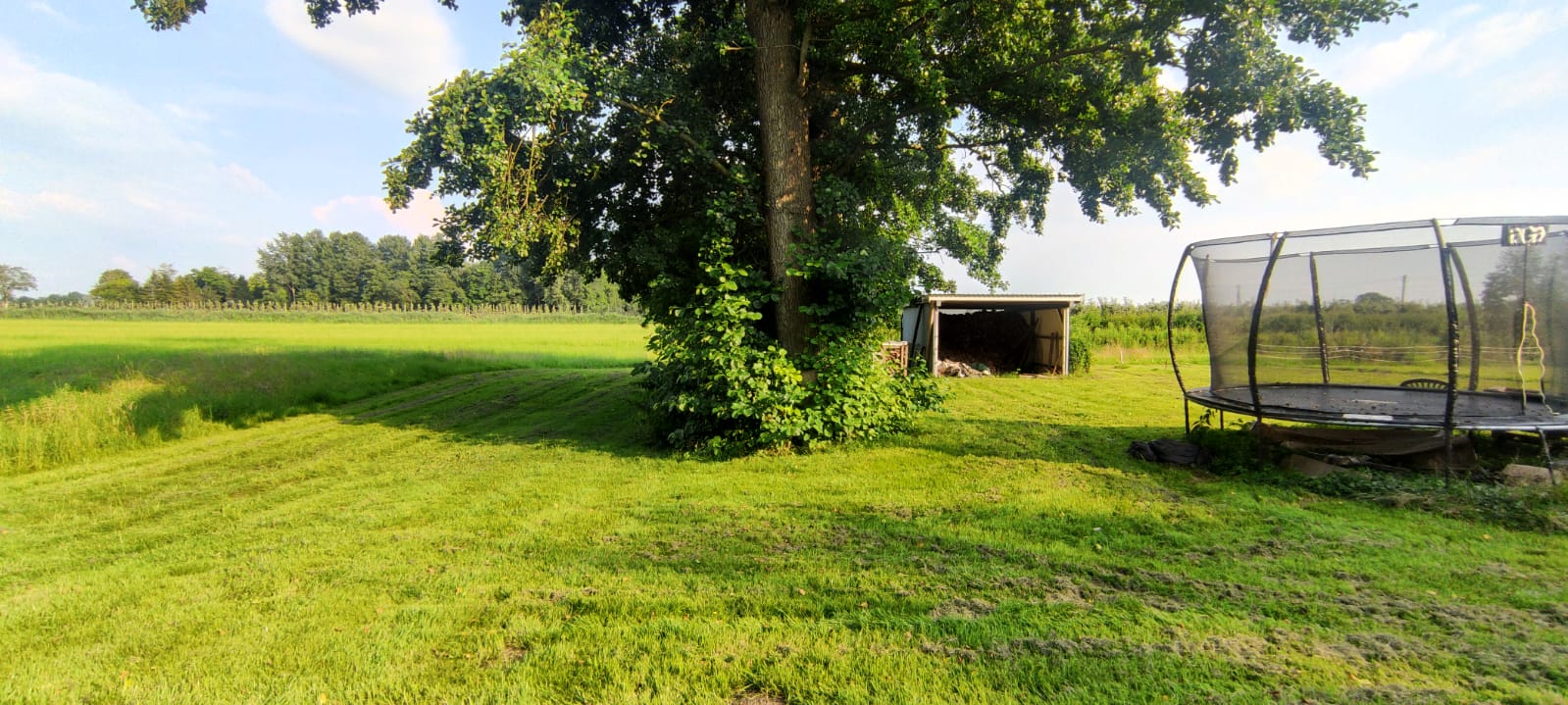 Campen im Moor nahe Krautsand photo 3